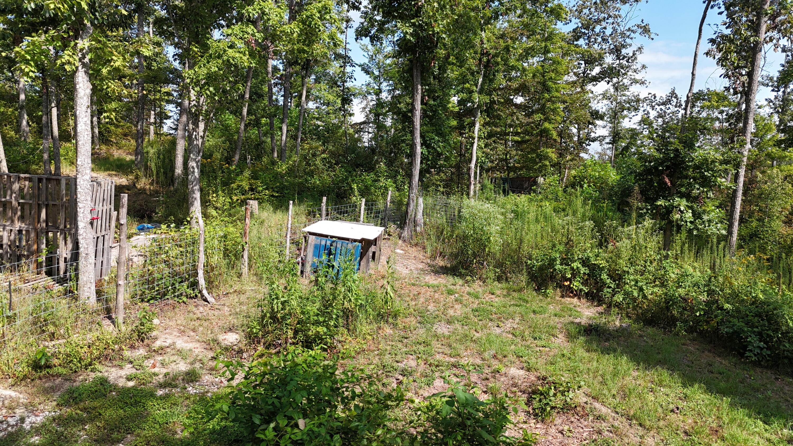 517 Timber Branch Road Property Photo 24