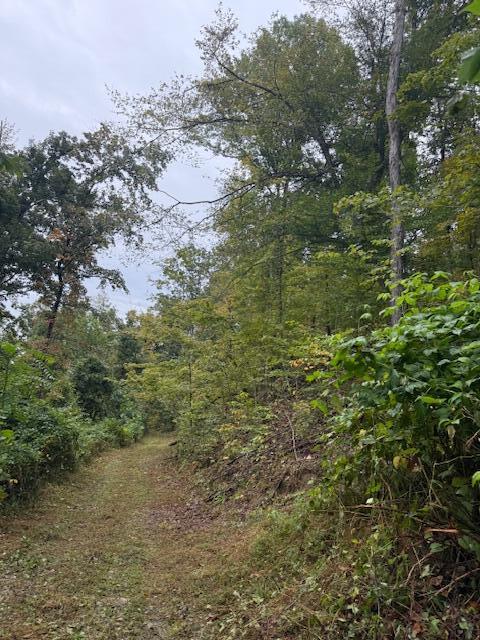 15709 Trace Road Property Photo 6