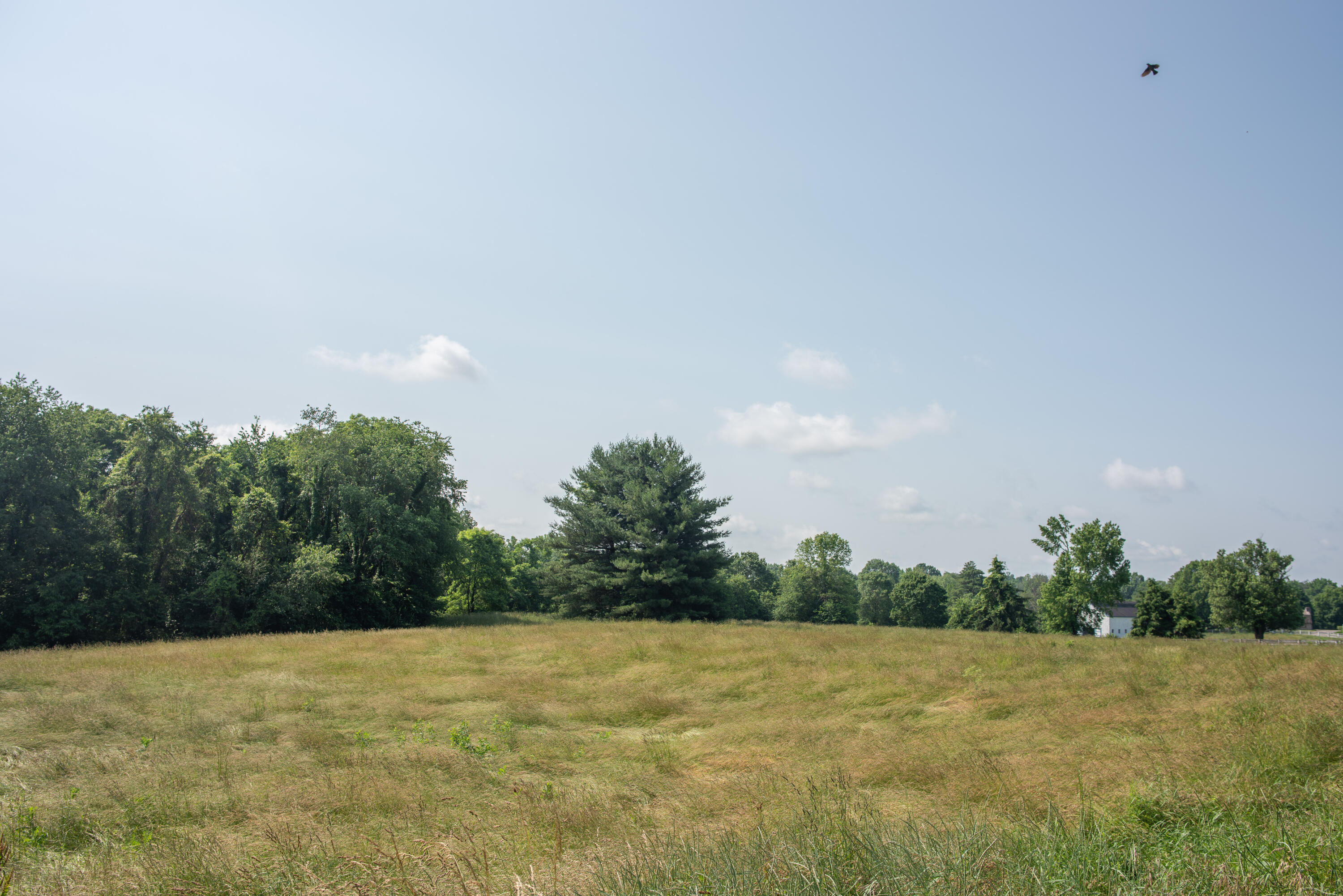 407 Country Lane Property Photo 9