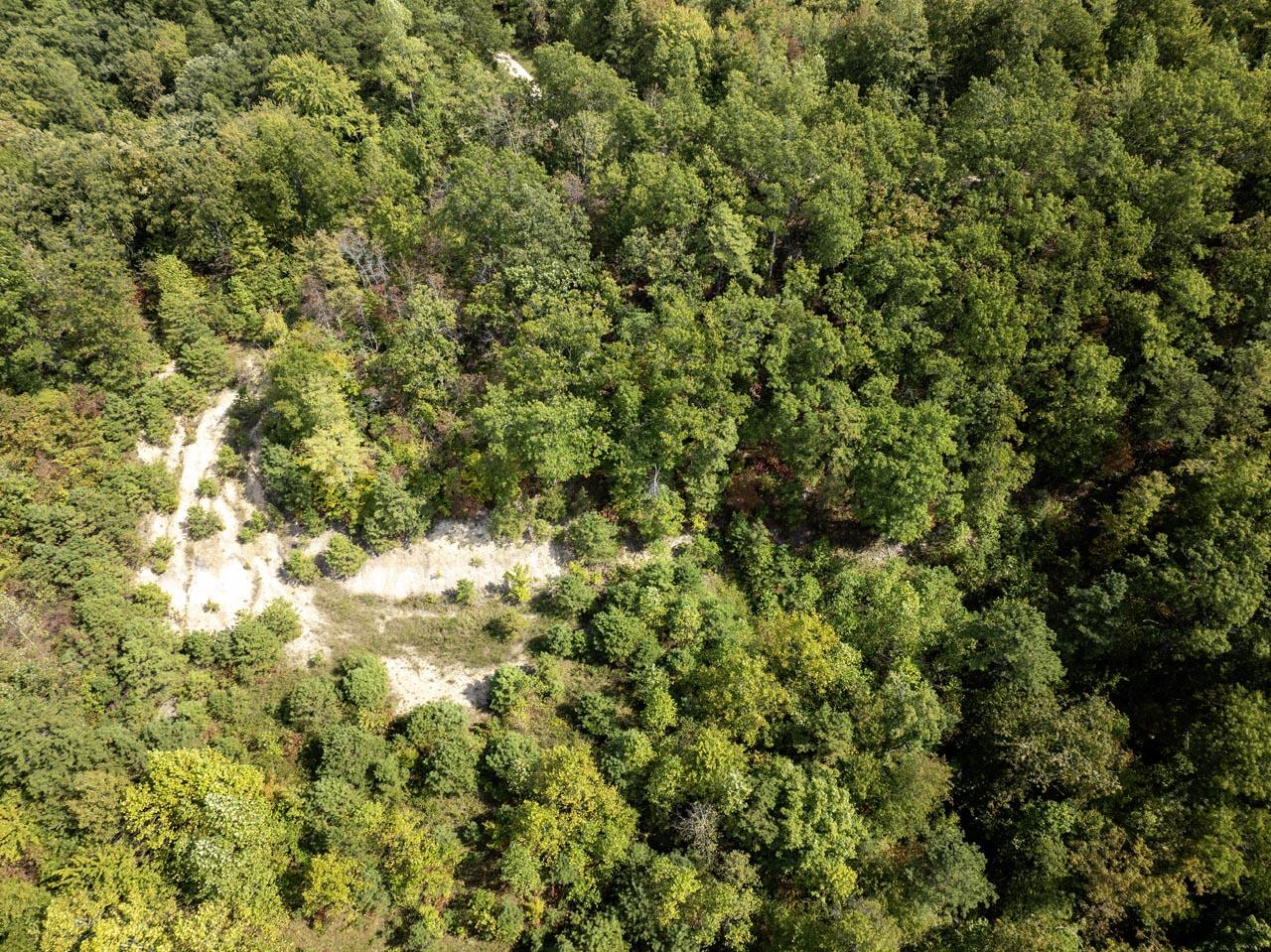 91 Acres Land Cains Creek Road Property Photo 25