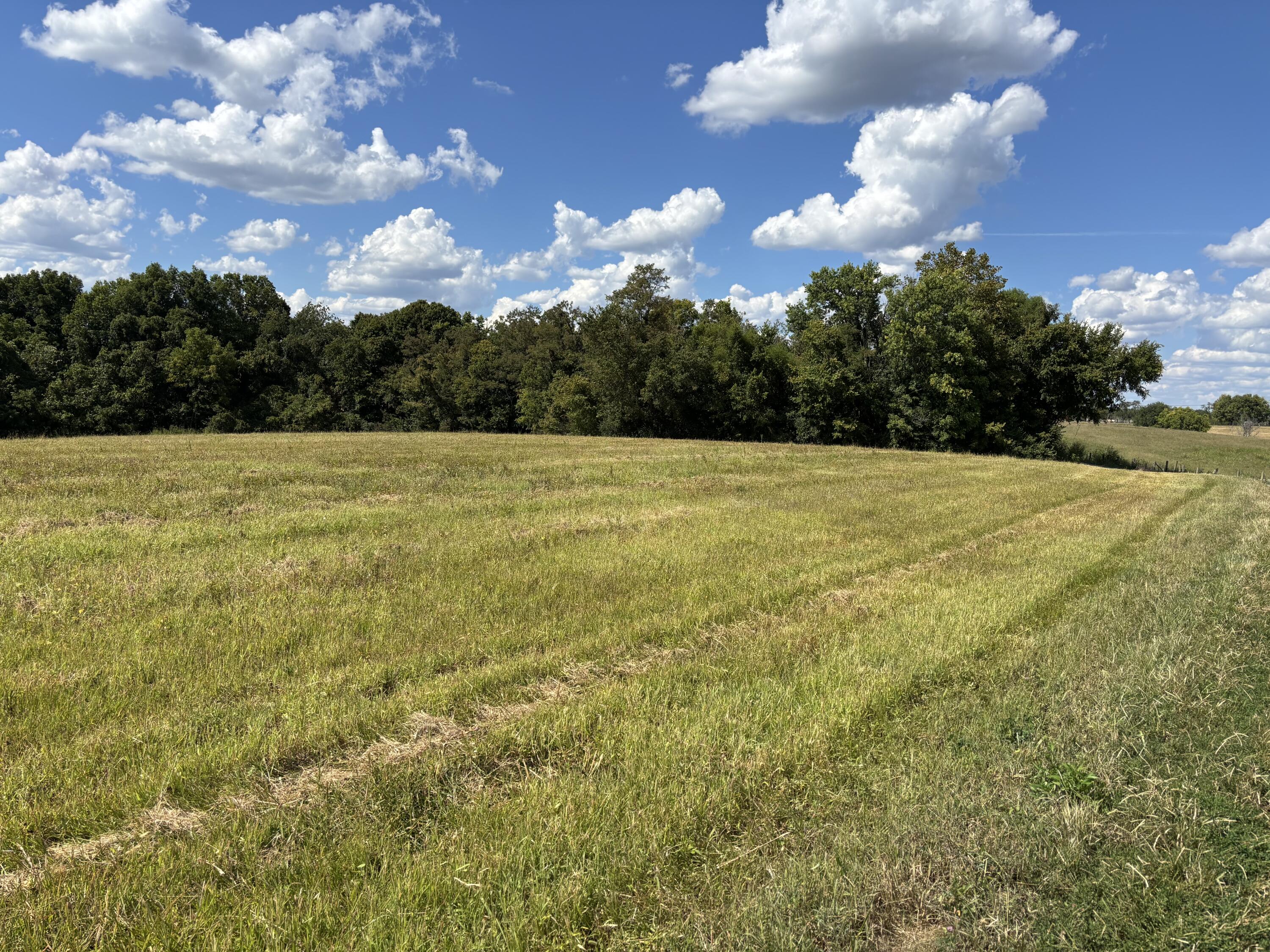 545 Maupin Road Property Photo 1