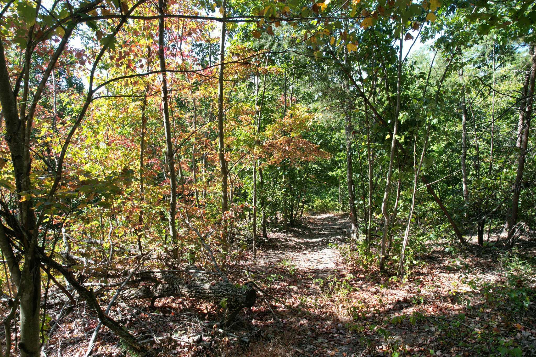0 Evans Sisters Road Property Photo 8