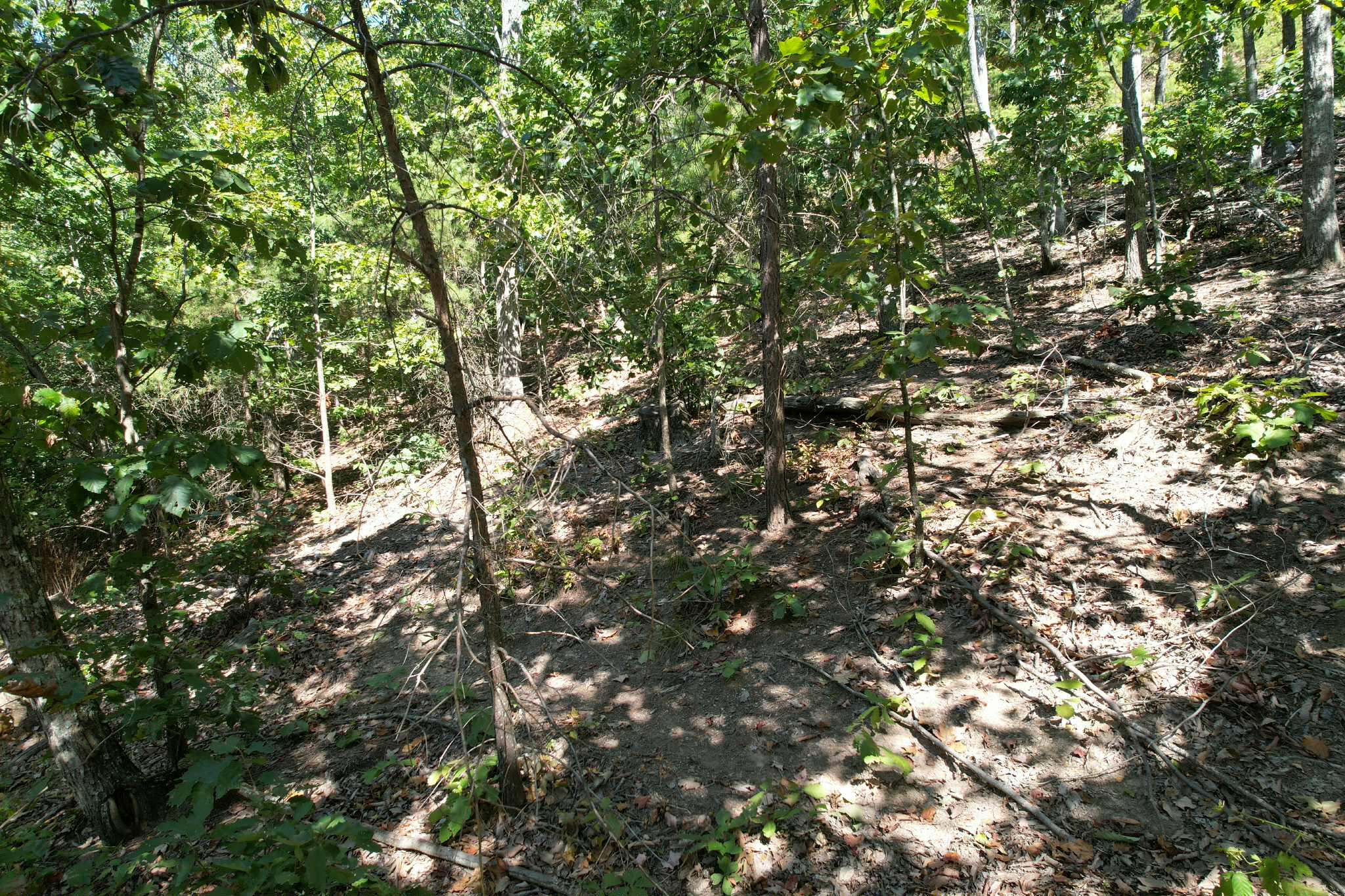 0 Evans Sisters Road Property Photo 10
