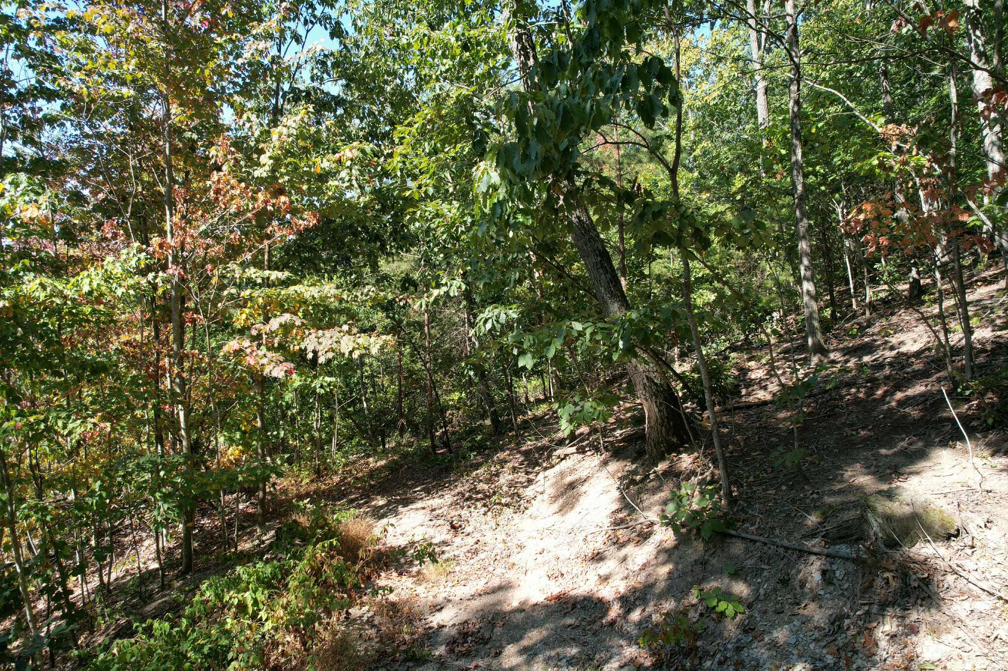 0 Evans Sisters Road Property Photo 11