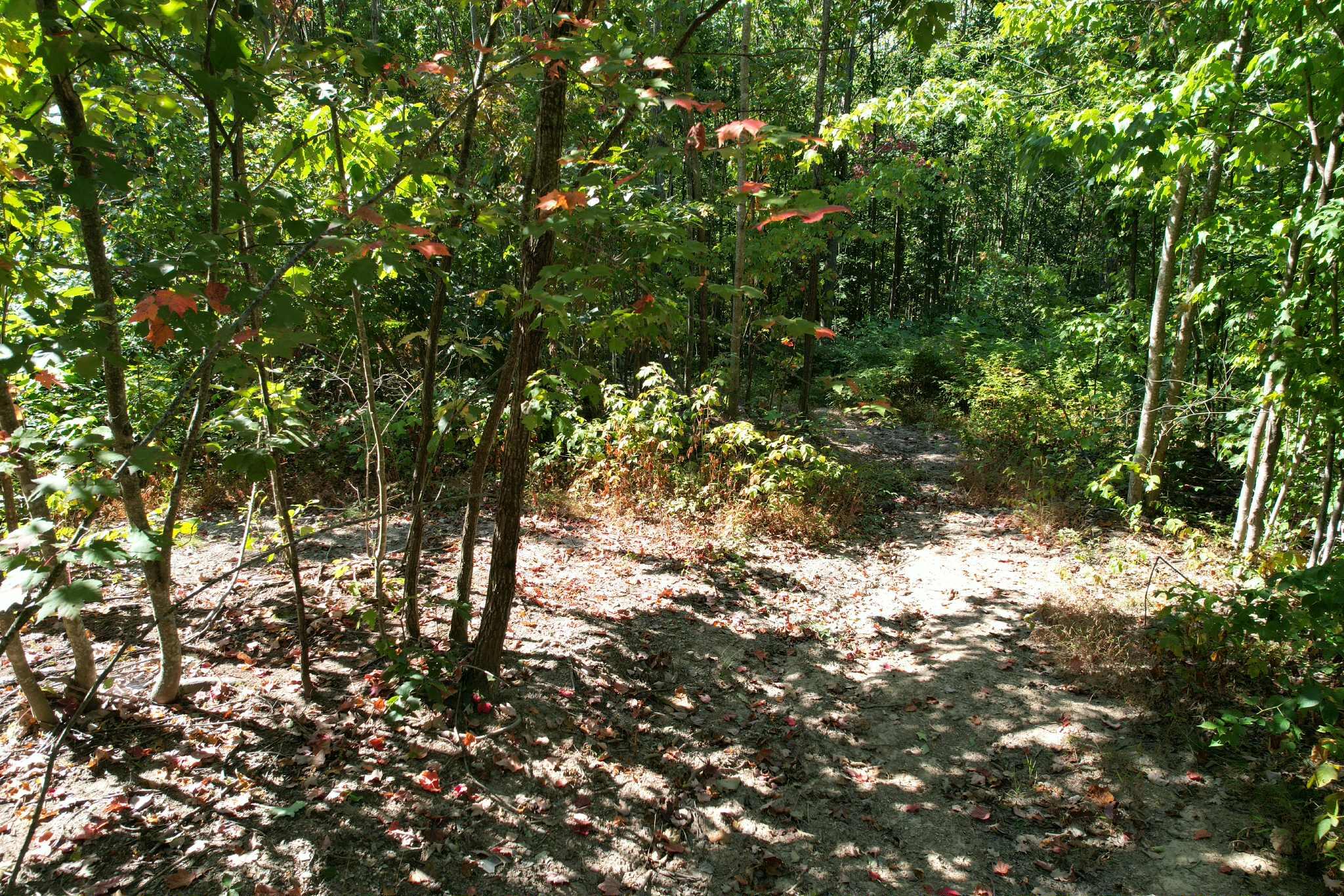 0 Evans Sisters Road Property Photo 14