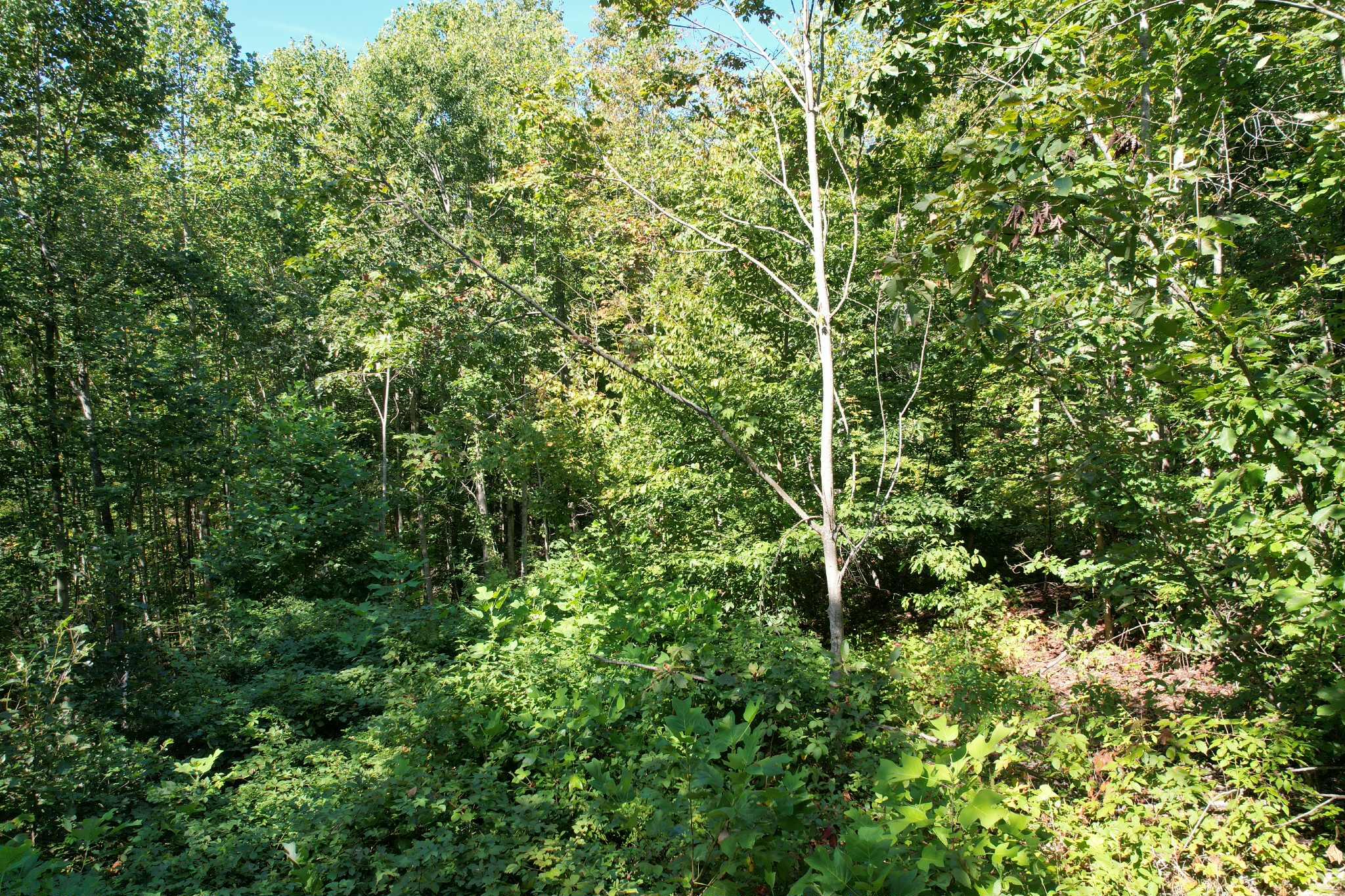 0 Evans Sisters Road Property Photo 16