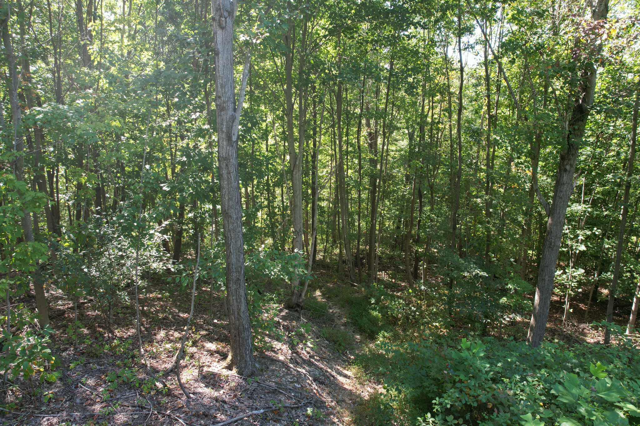 0 Evans Sisters Road Property Photo 18