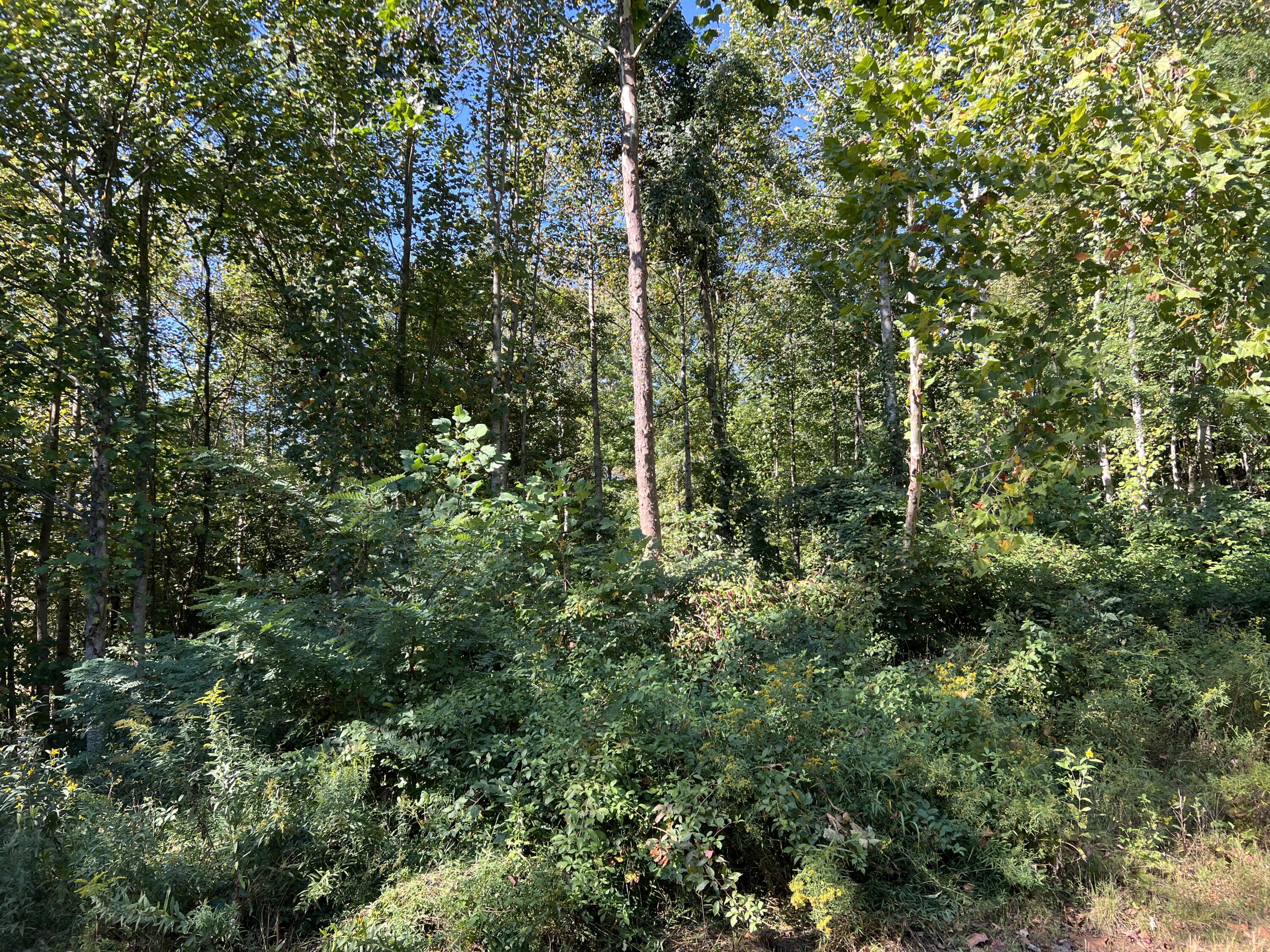 0 Evans Sisters Road Property Photo 20