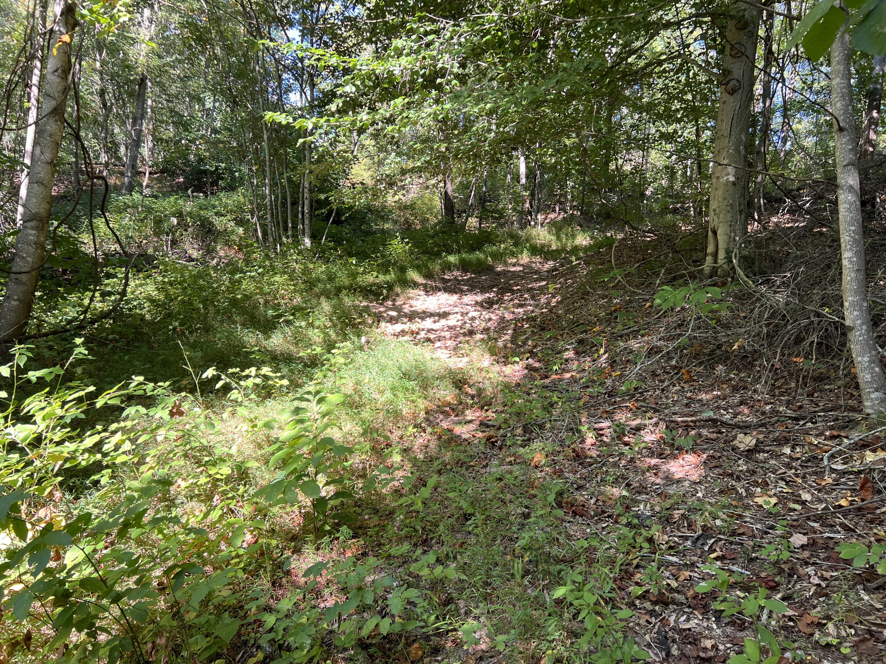 0 Evans Sisters Road Property Photo 28