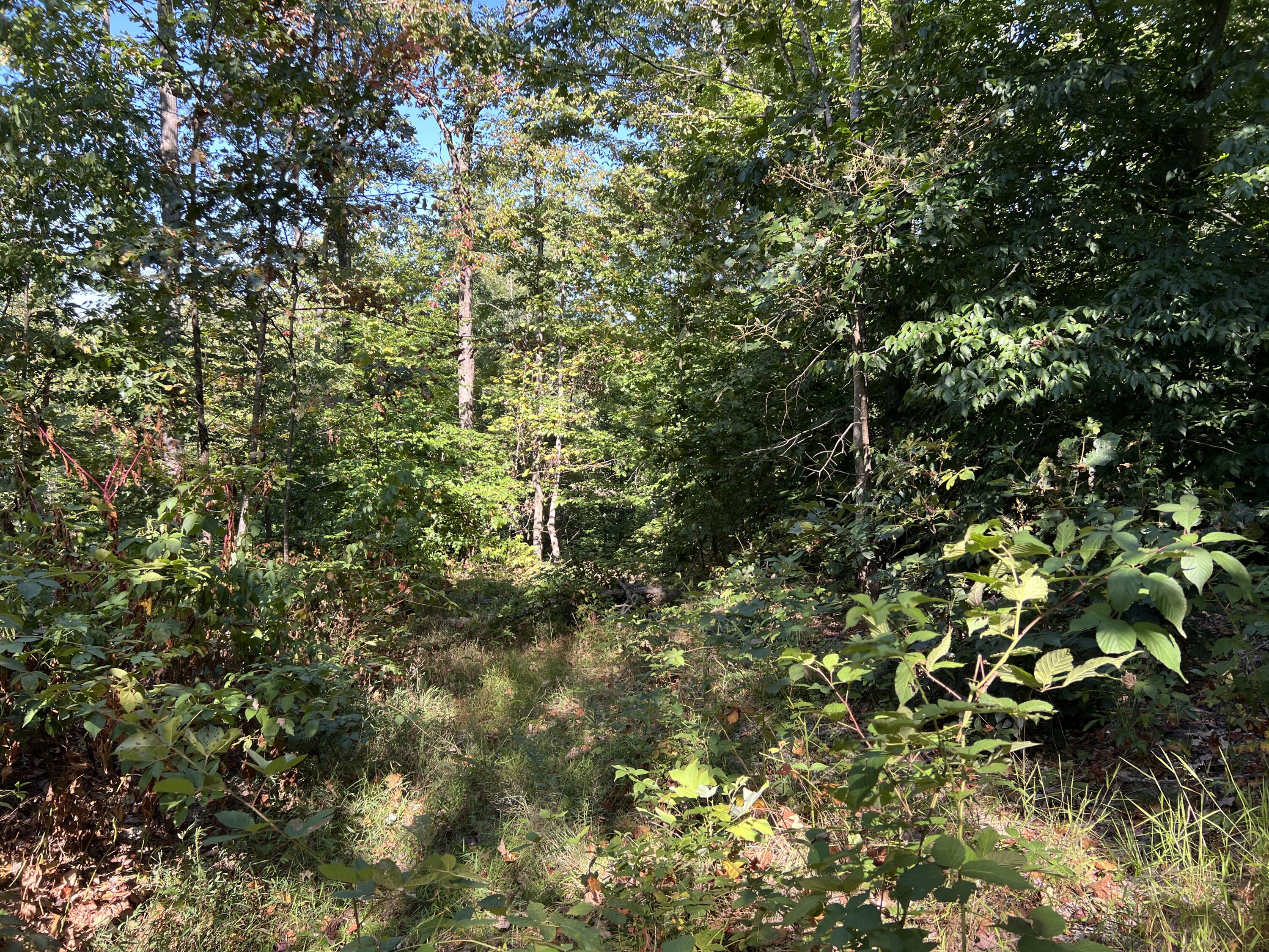 0 Evans Sisters Road Property Photo 33