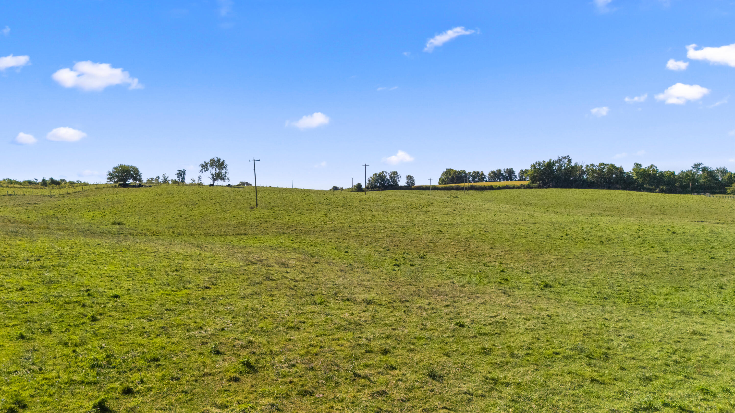 0 Clarks Run Road Property Photo 11