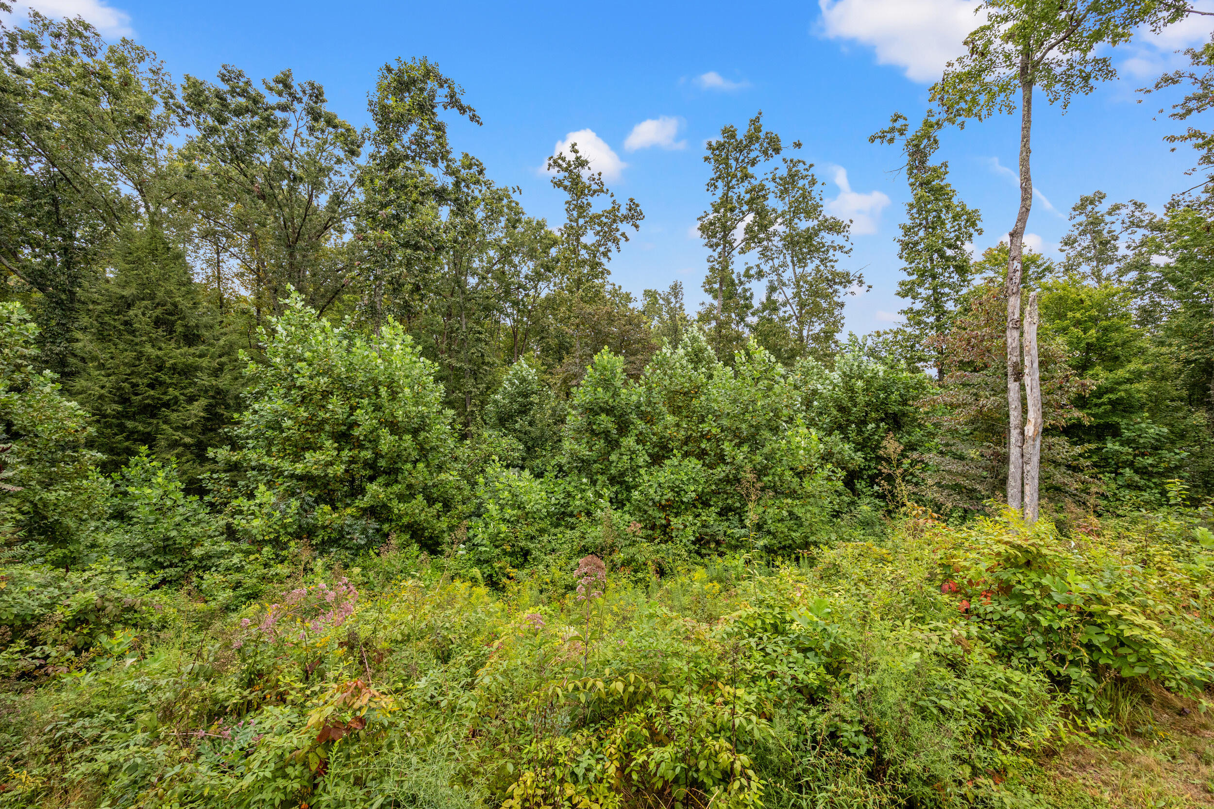 4523 Amos Ridge Road Property Photo 17