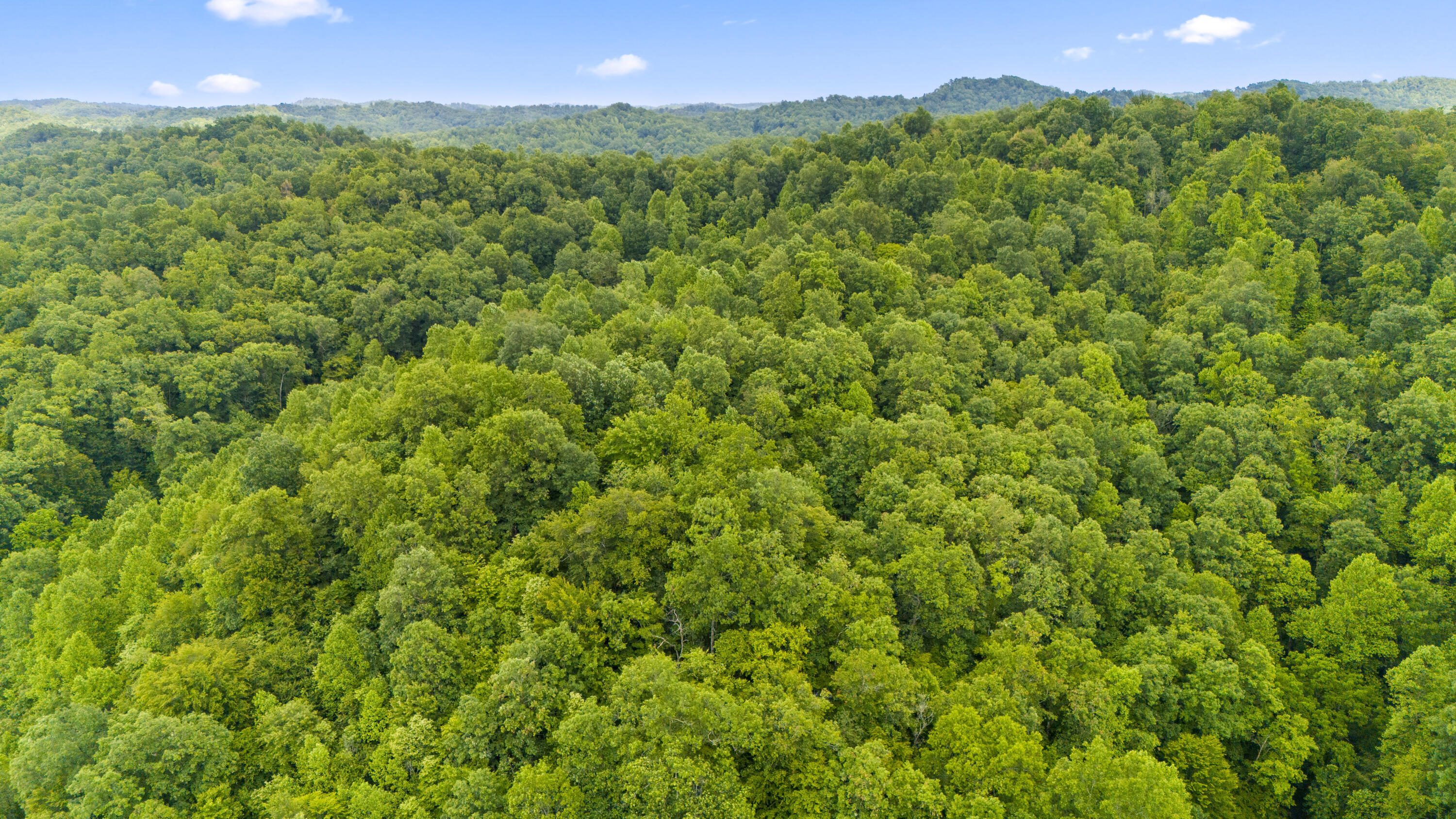 1235 Greenbrier Branch Road Property Photo 7
