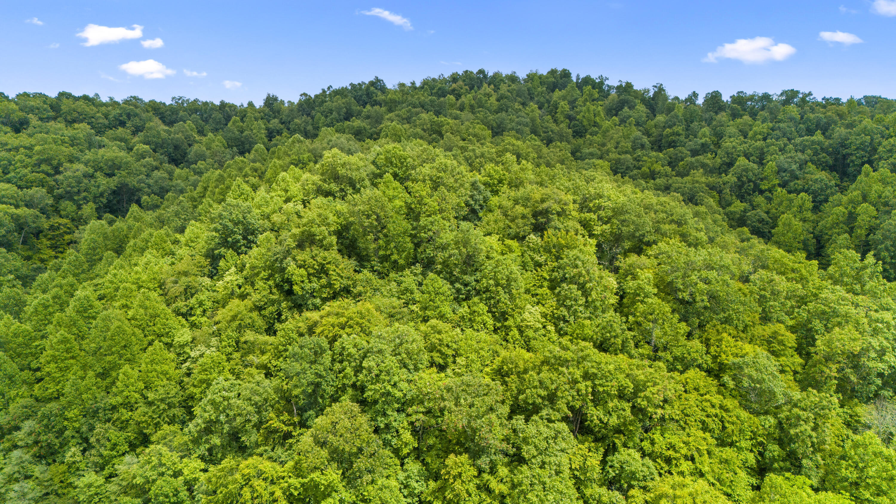 1235 Greenbrier Branch Road Property Photo 8