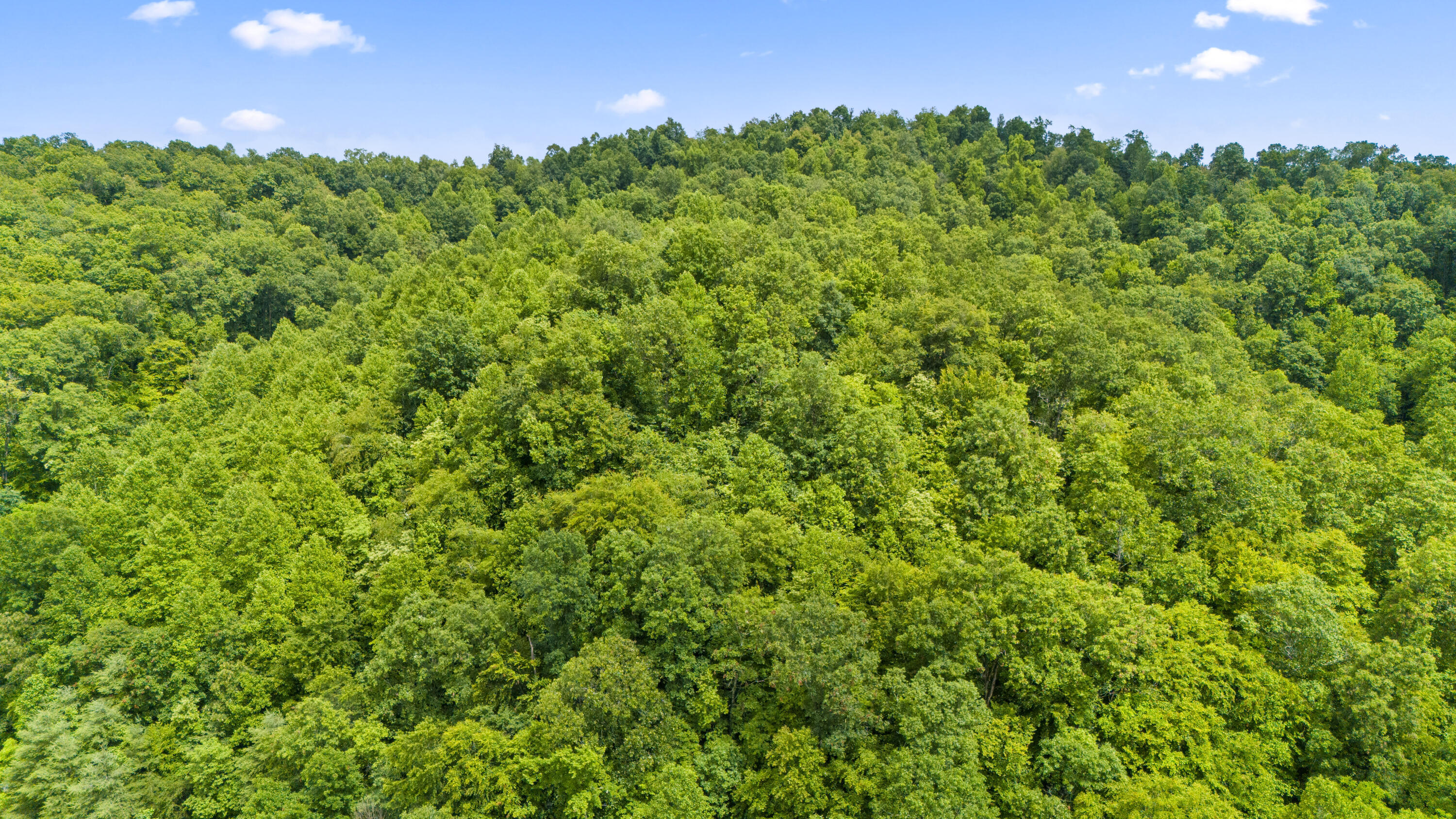 1235 Greenbrier Branch Road Property Photo 9