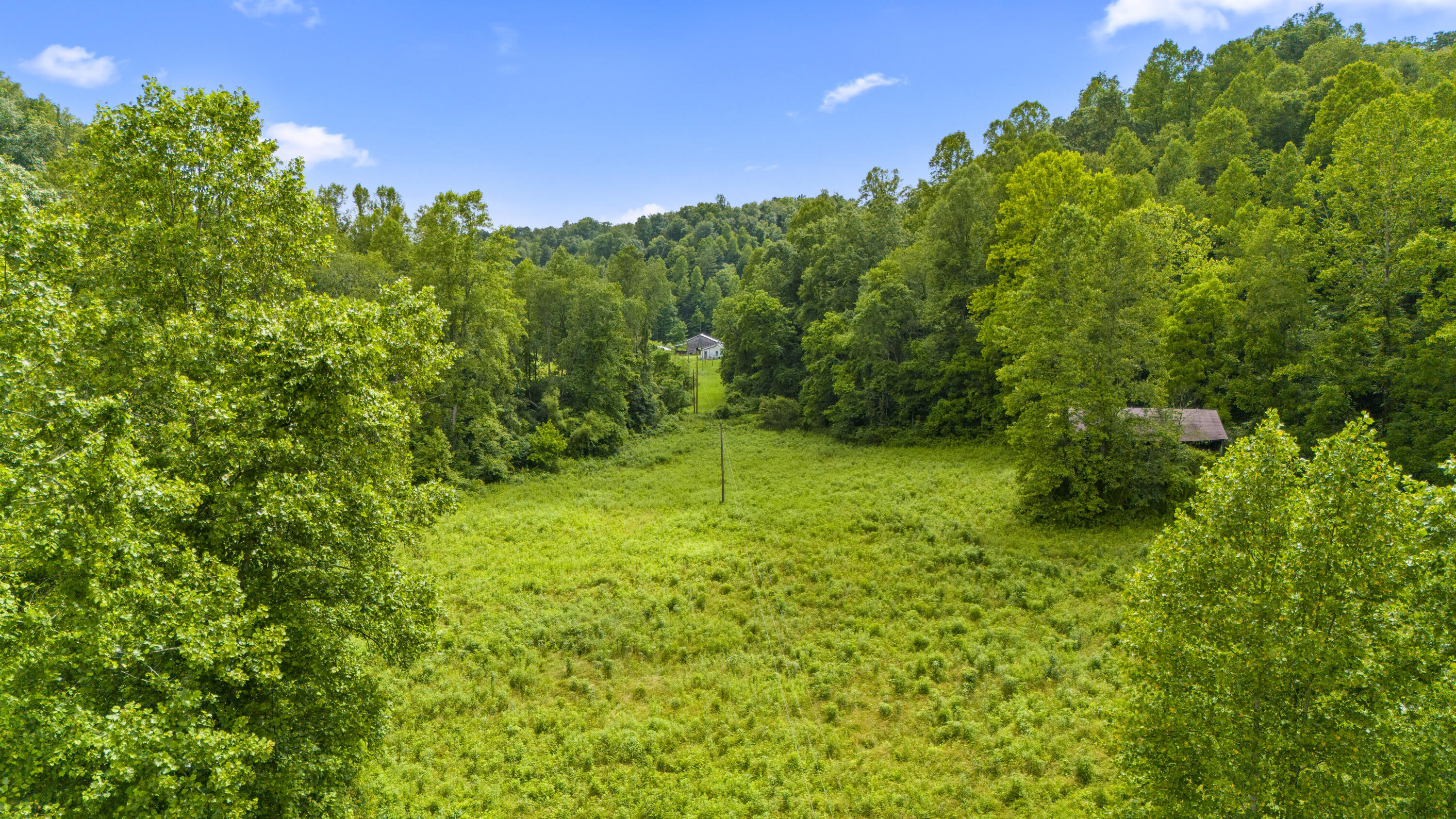 1235 Greenbrier Branch Road Property Photo 10