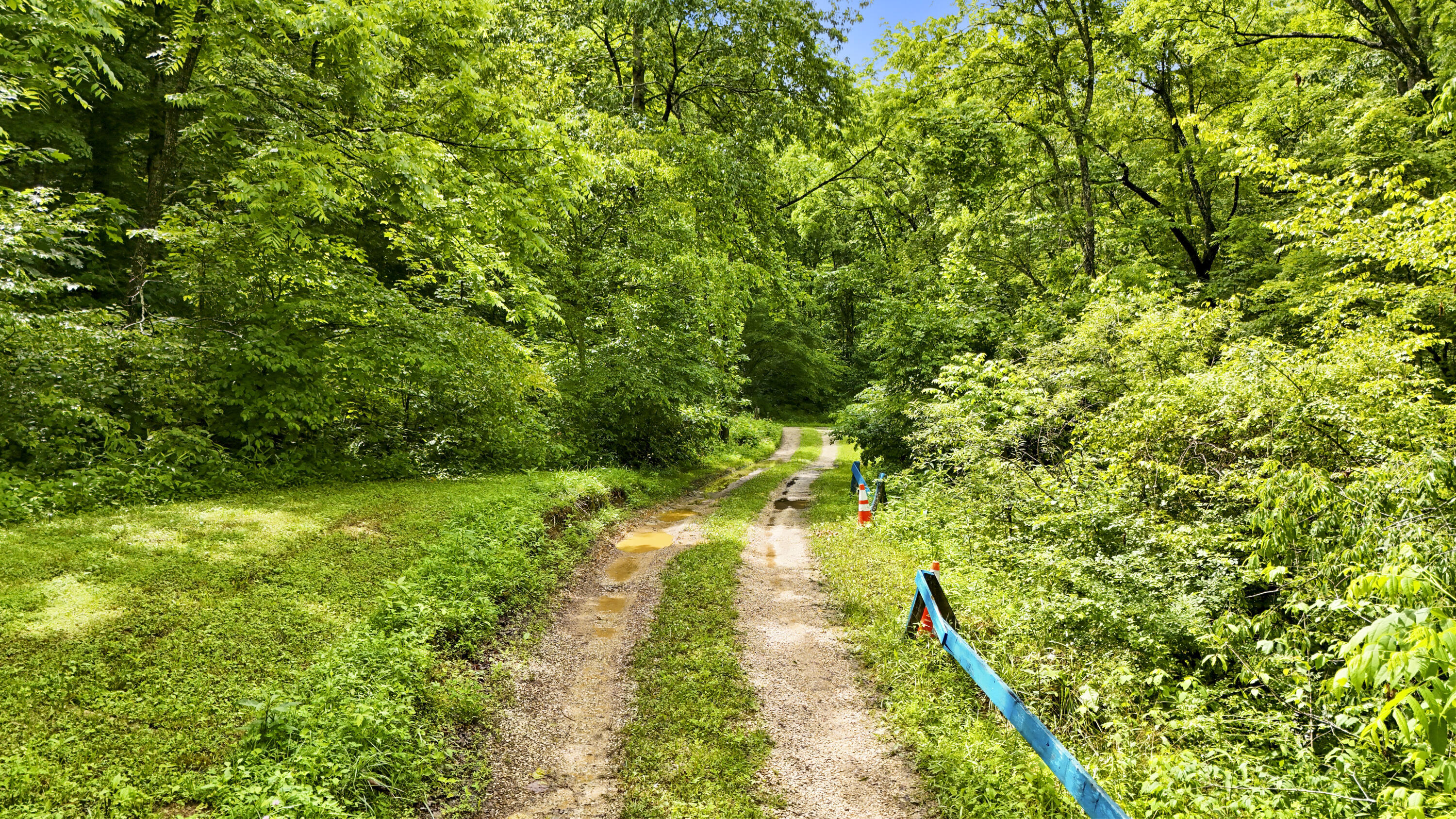 1235 Greenbrier Branch Road Property Photo 12