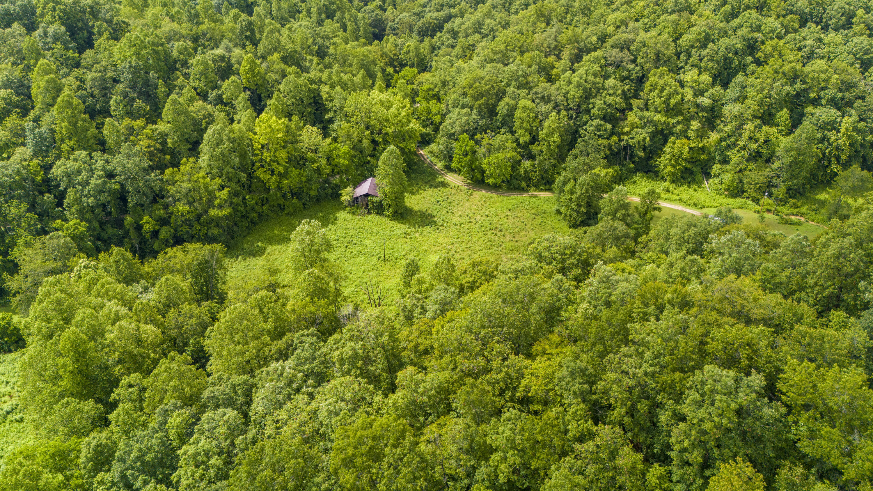 1235 Greenbrier Branch Road Property Photo 14