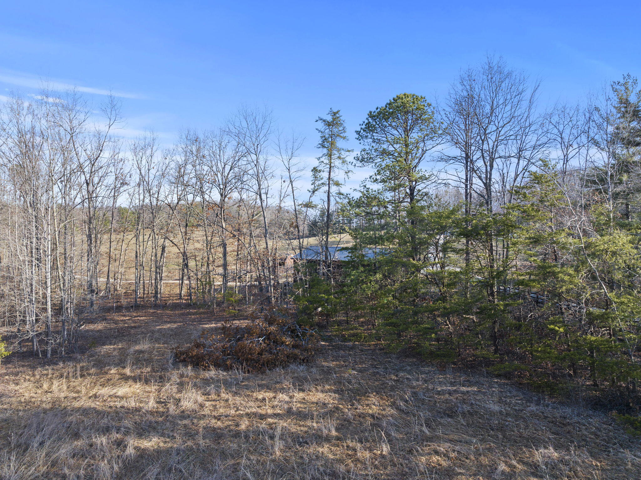 200 Old Phelps Lane Property Photo 15