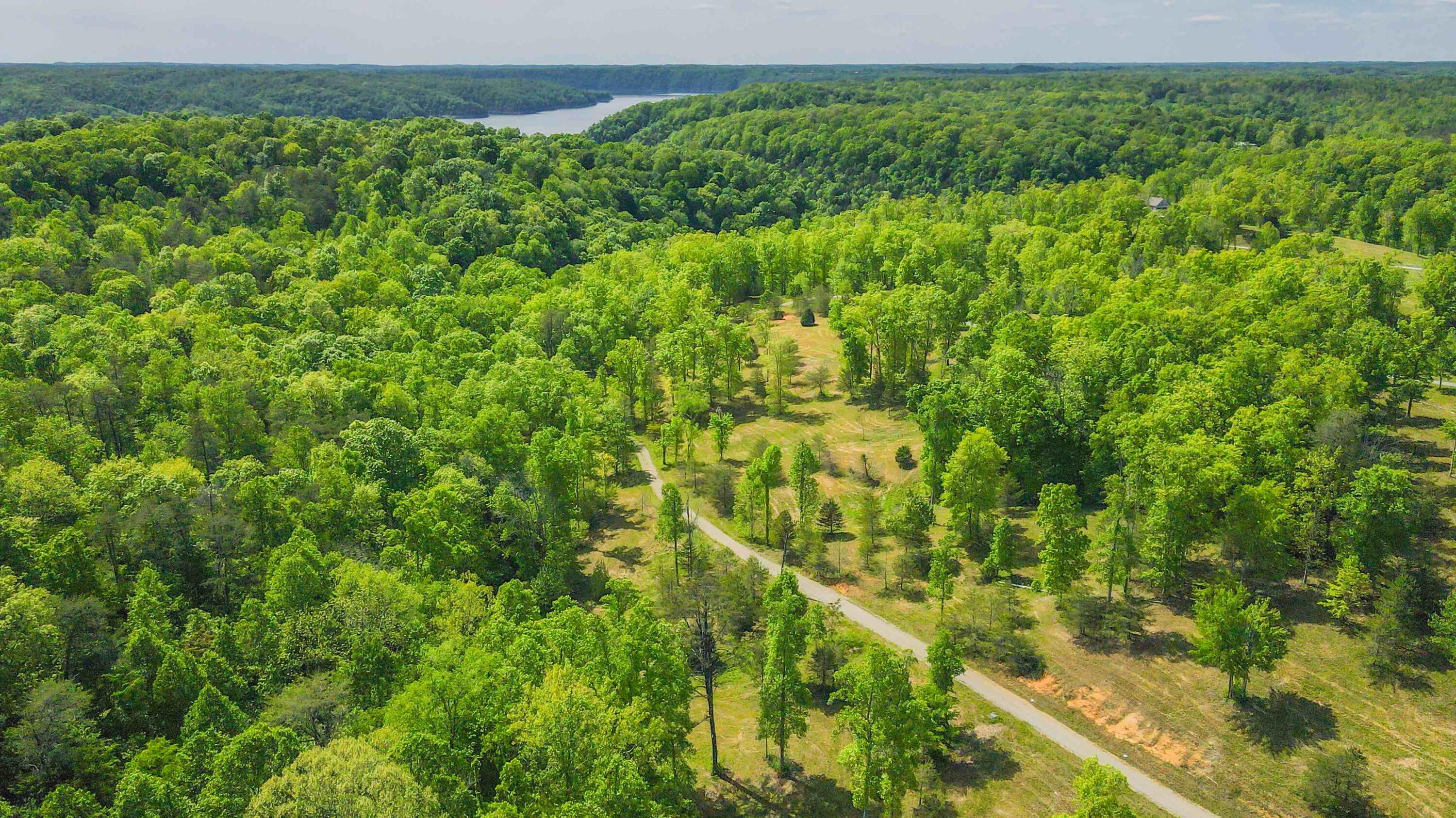 Lots 43-56 Bridlebrook Property Photo 7