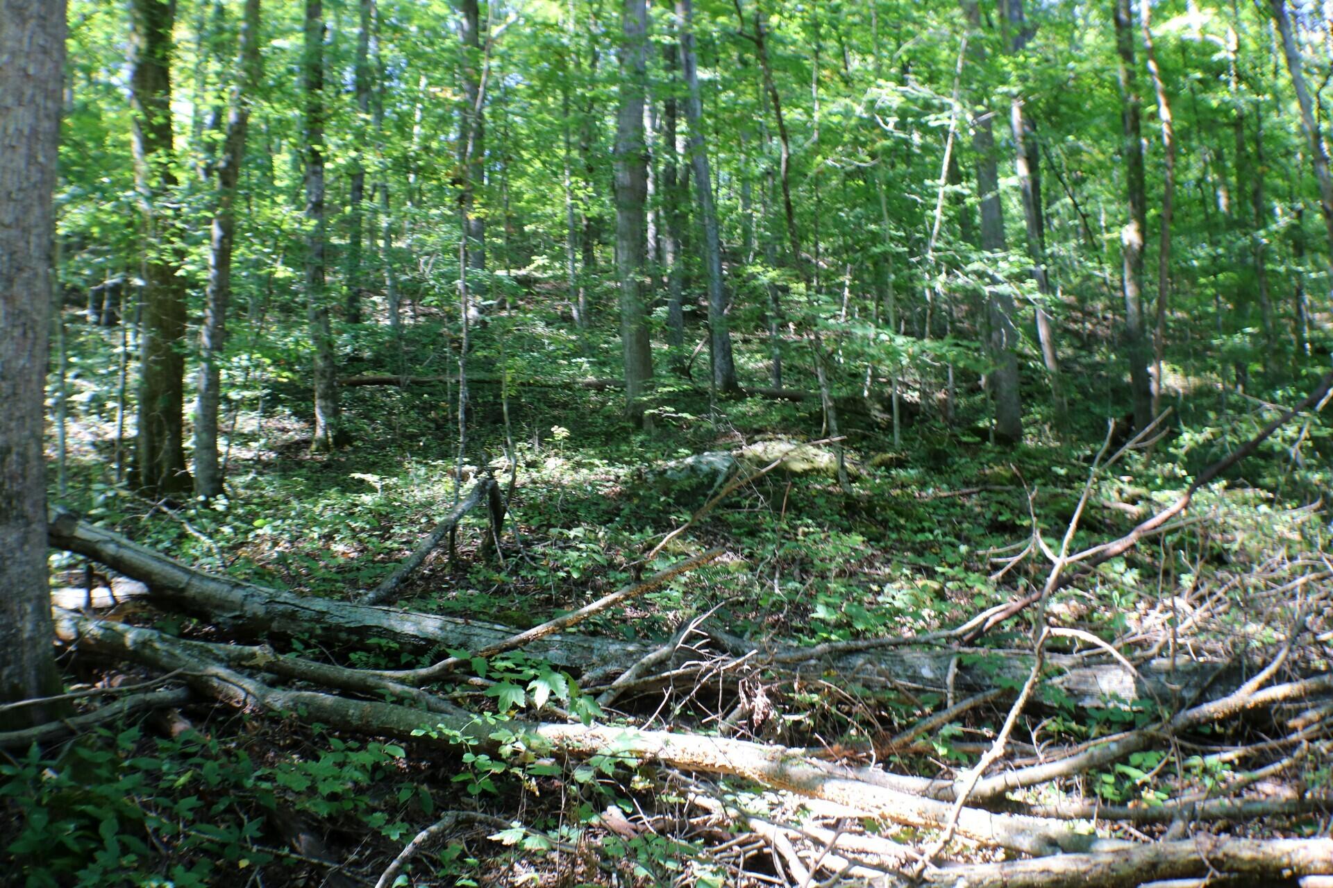 406 Harmony Lane Property Photo 2
