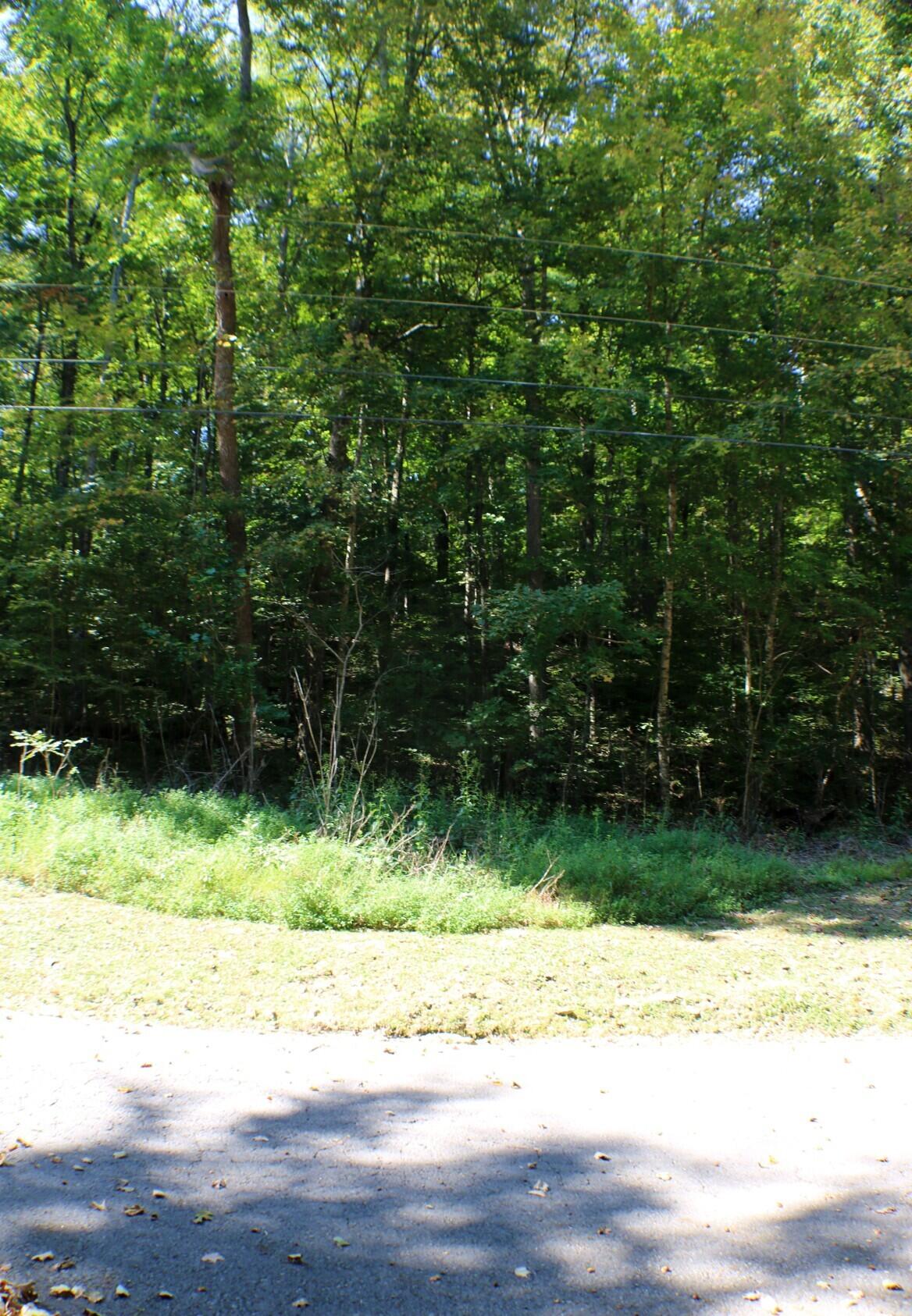 406 Harmony Lane Property Photo 3