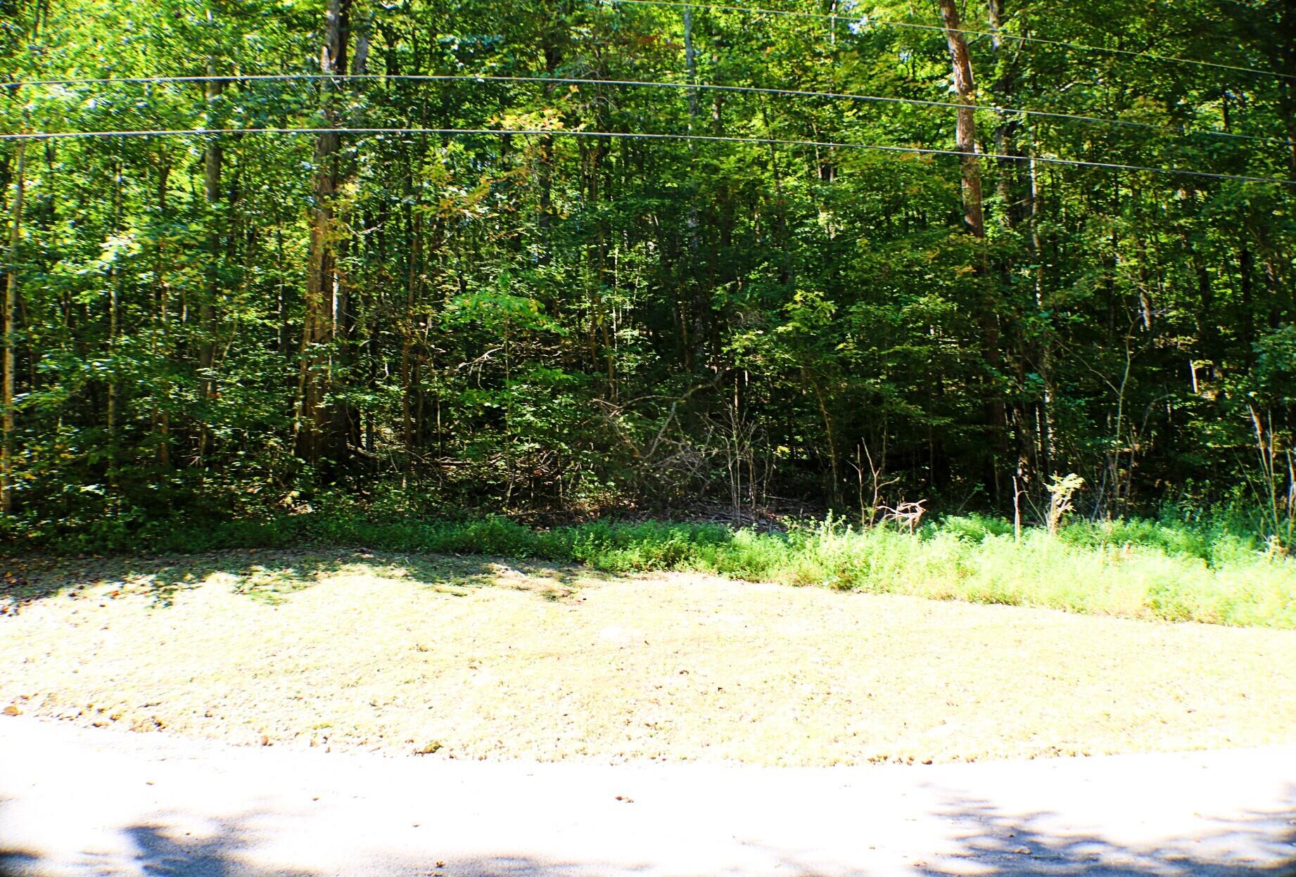 406 Harmony Lane Property Photo 4