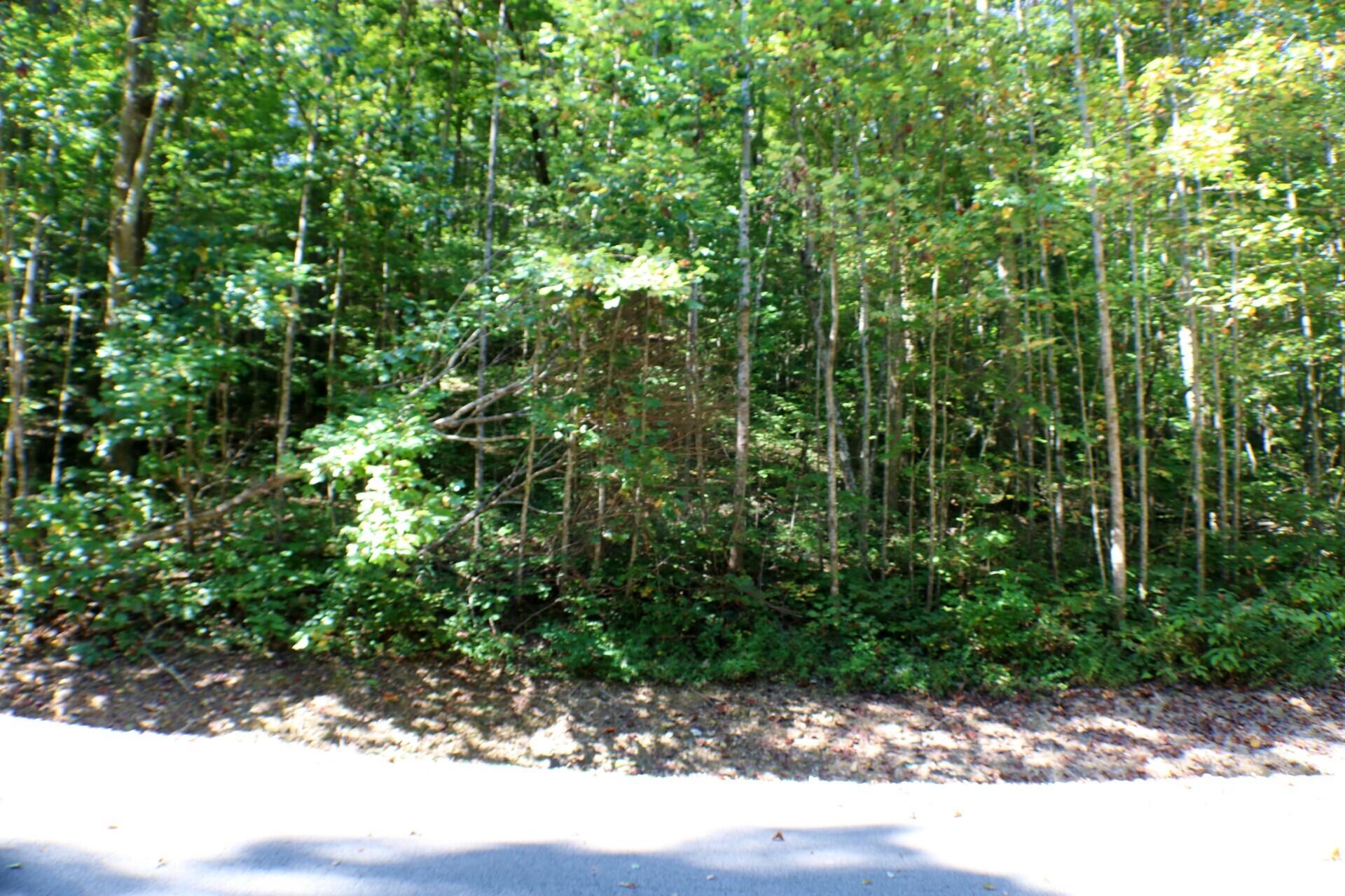406 Harmony Lane Property Photo 5