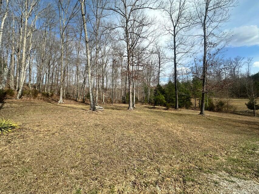 Lot 11&12 Tom O'ryan Road Property Photo 6