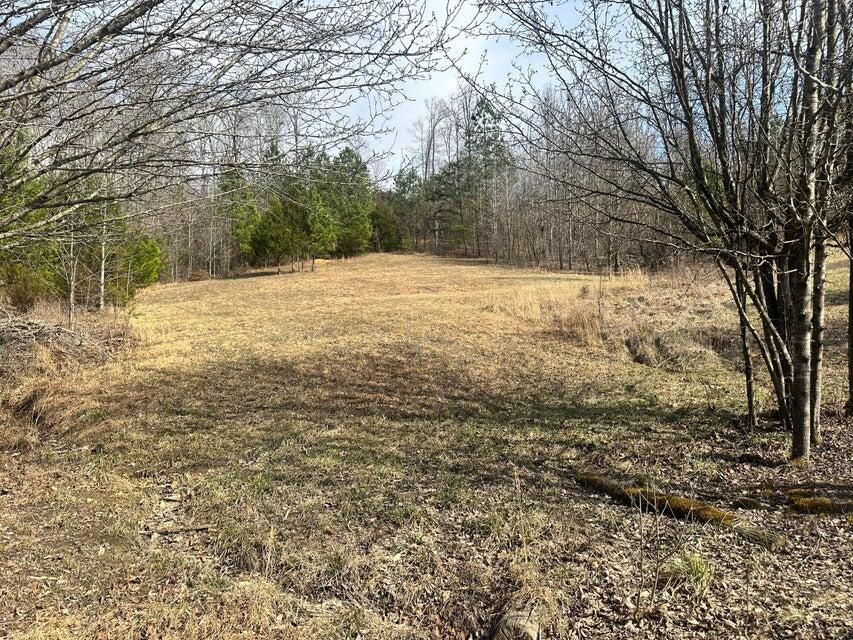 Lot 11&12 Tom O'ryan Road Property Photo 7