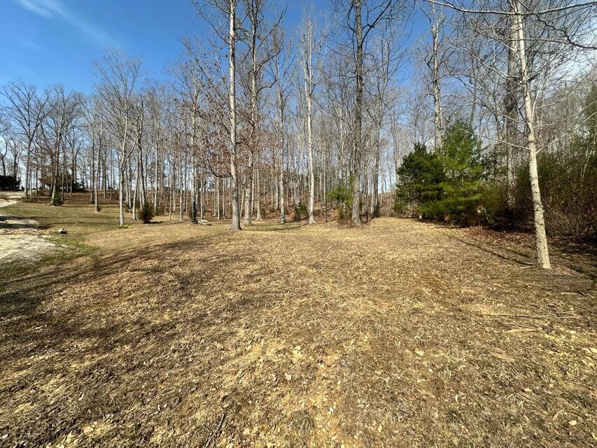 Lot 11&12 Tom O'ryan Road Property Photo 8