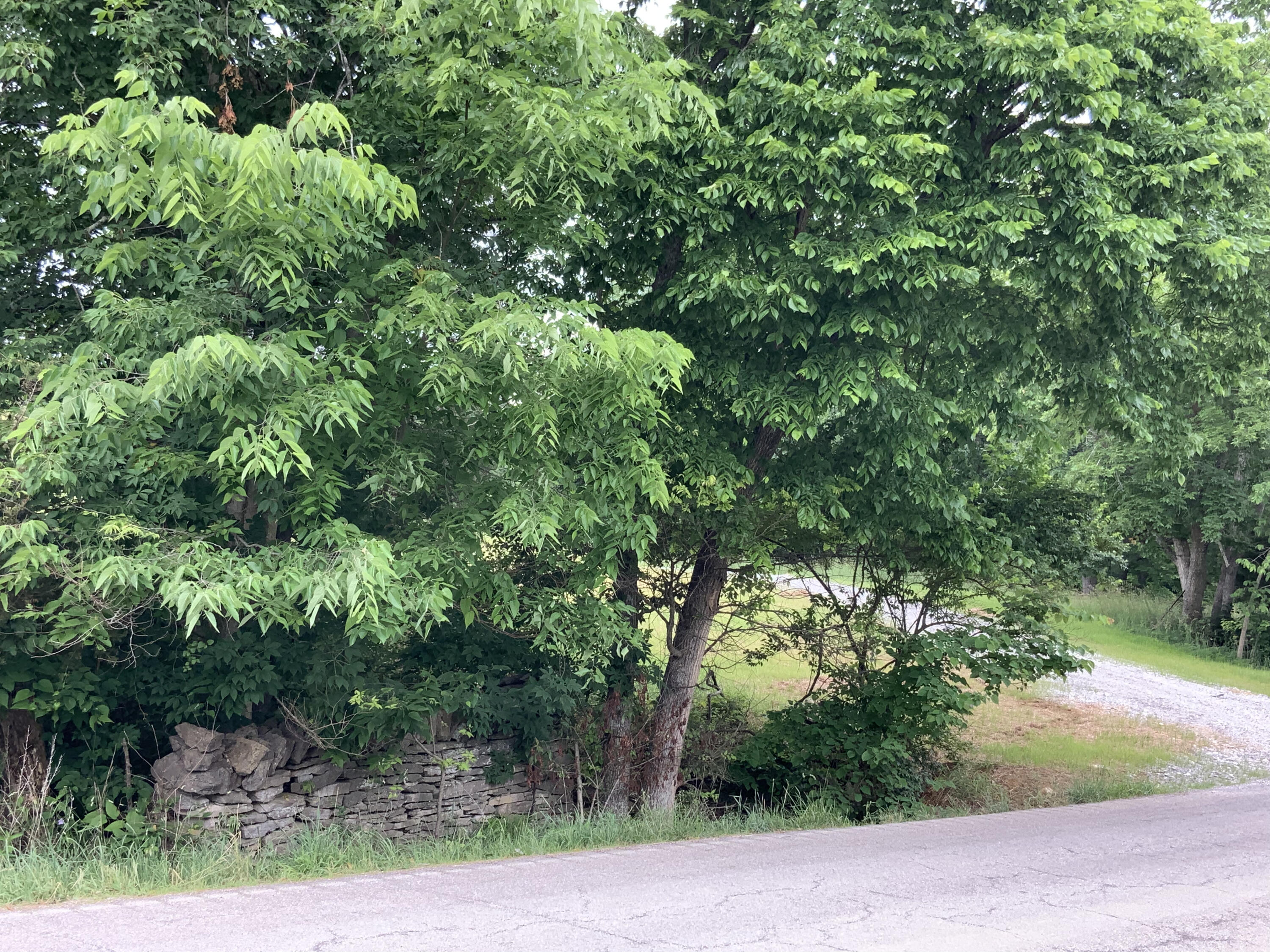 2041 Mill Creek Pike Property Photo 3