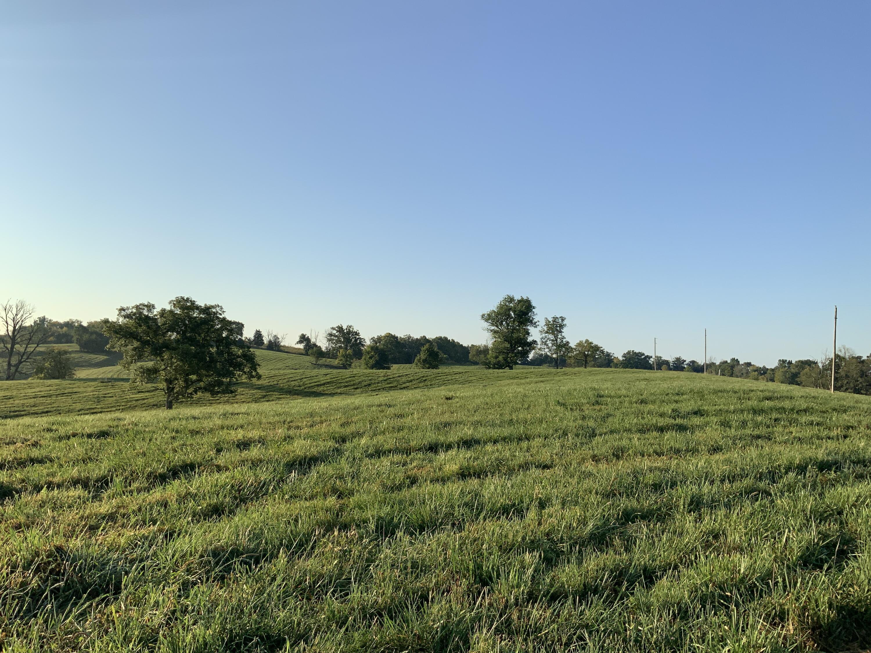 2041 Mill Creek Pike Property Photo 7