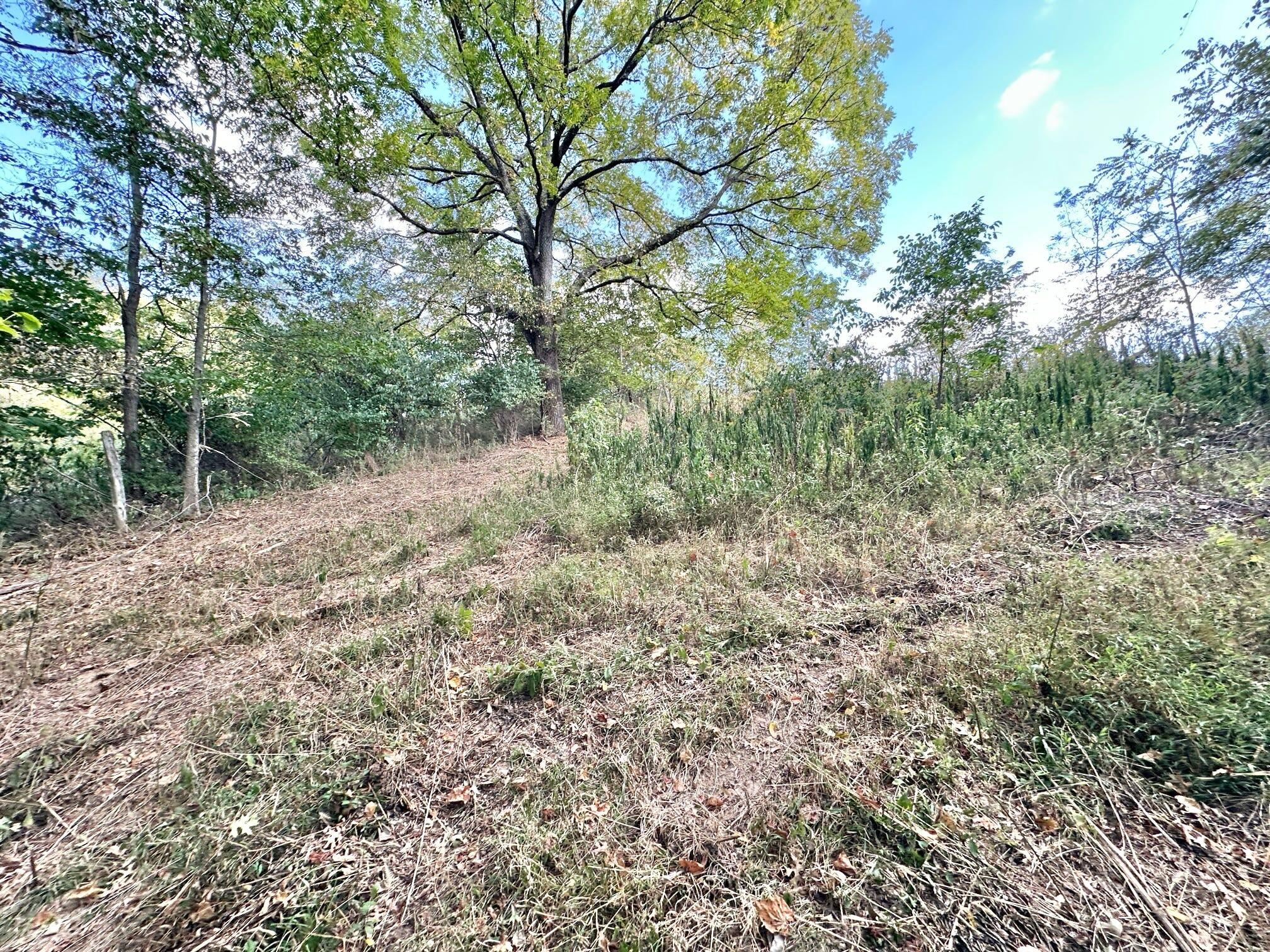 2524 Us 68 Property Photo 18