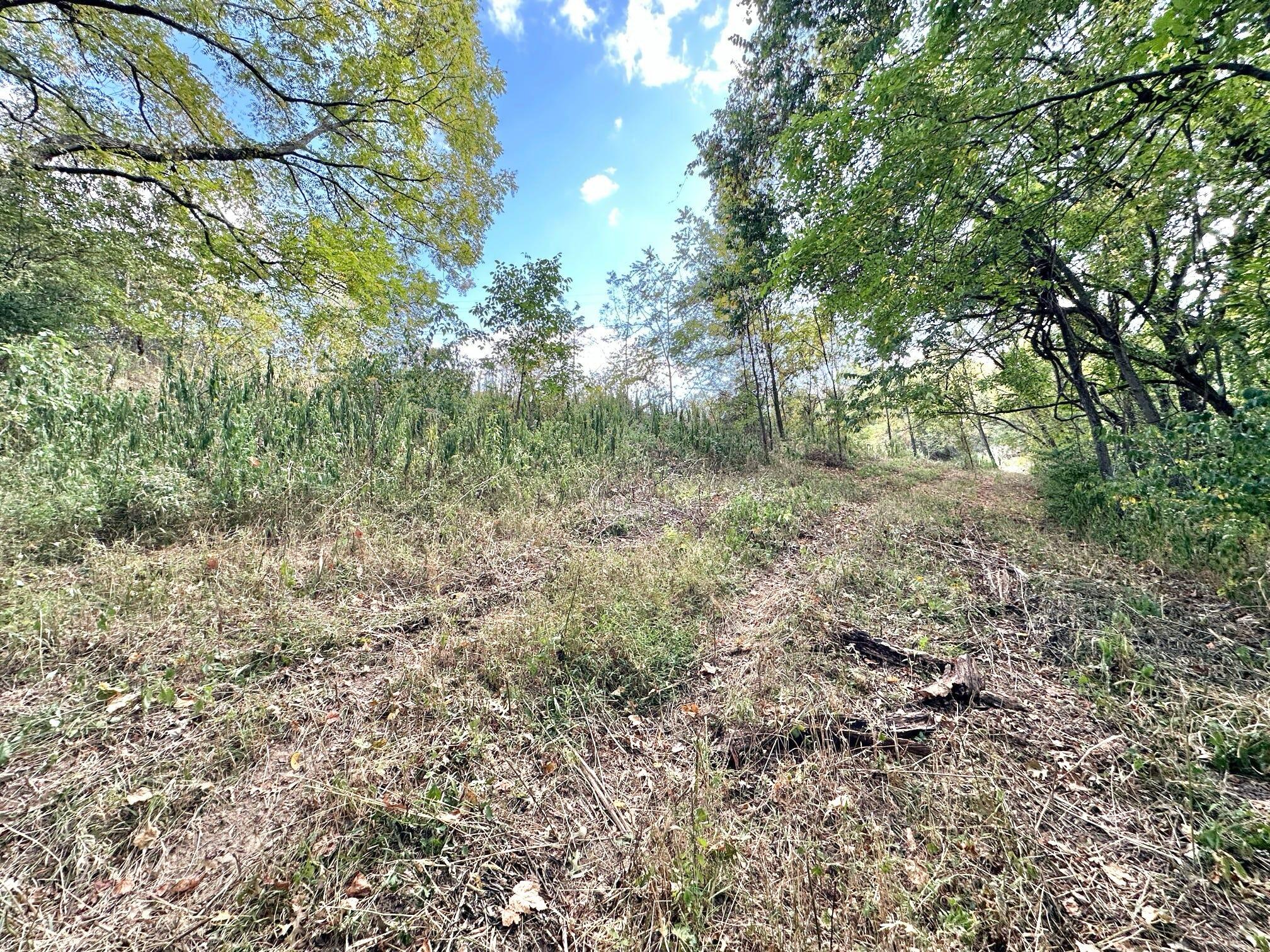 2524 Us 68 Property Photo 21