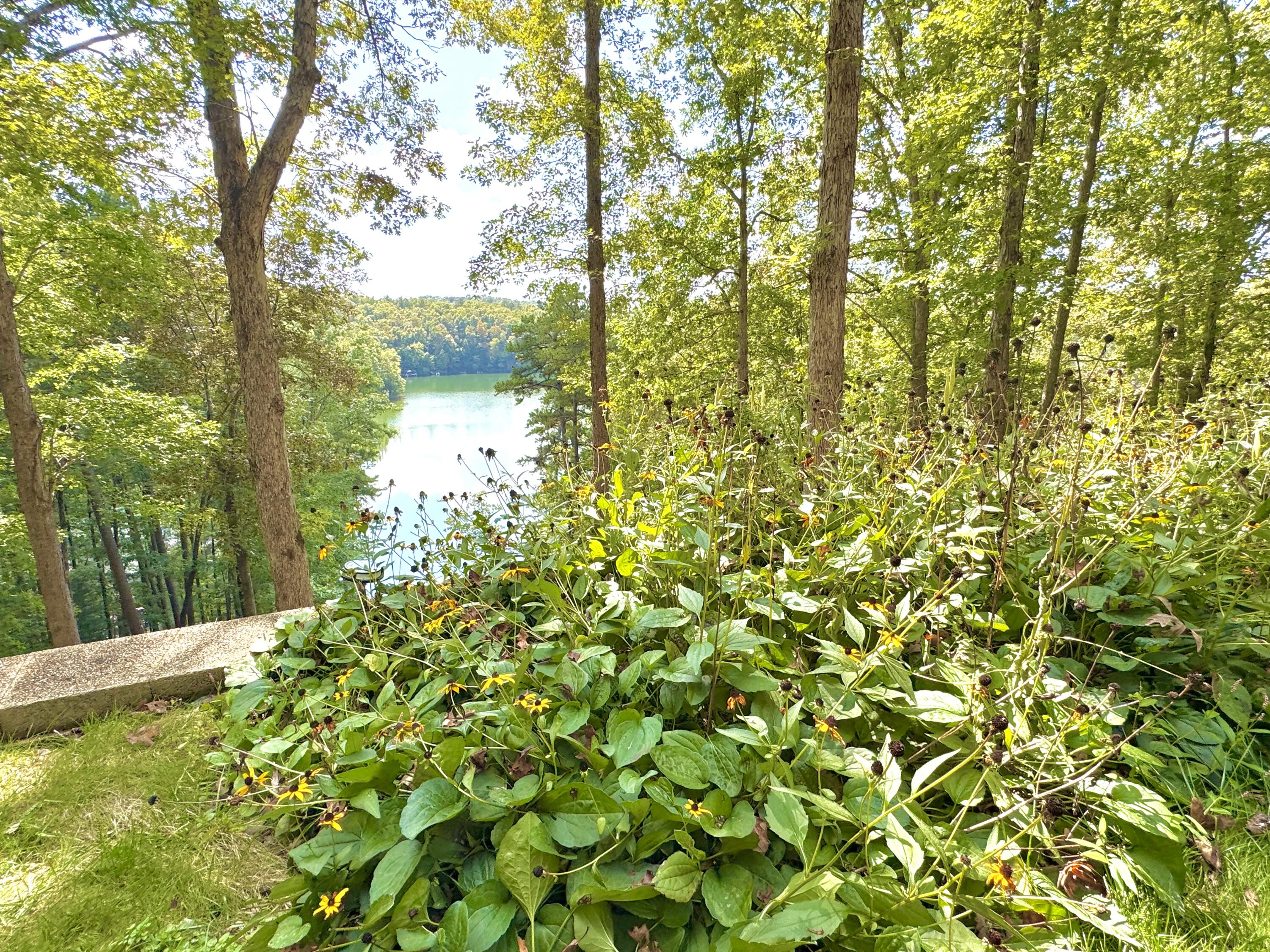 155 Rocky Point Road Property Photo 21