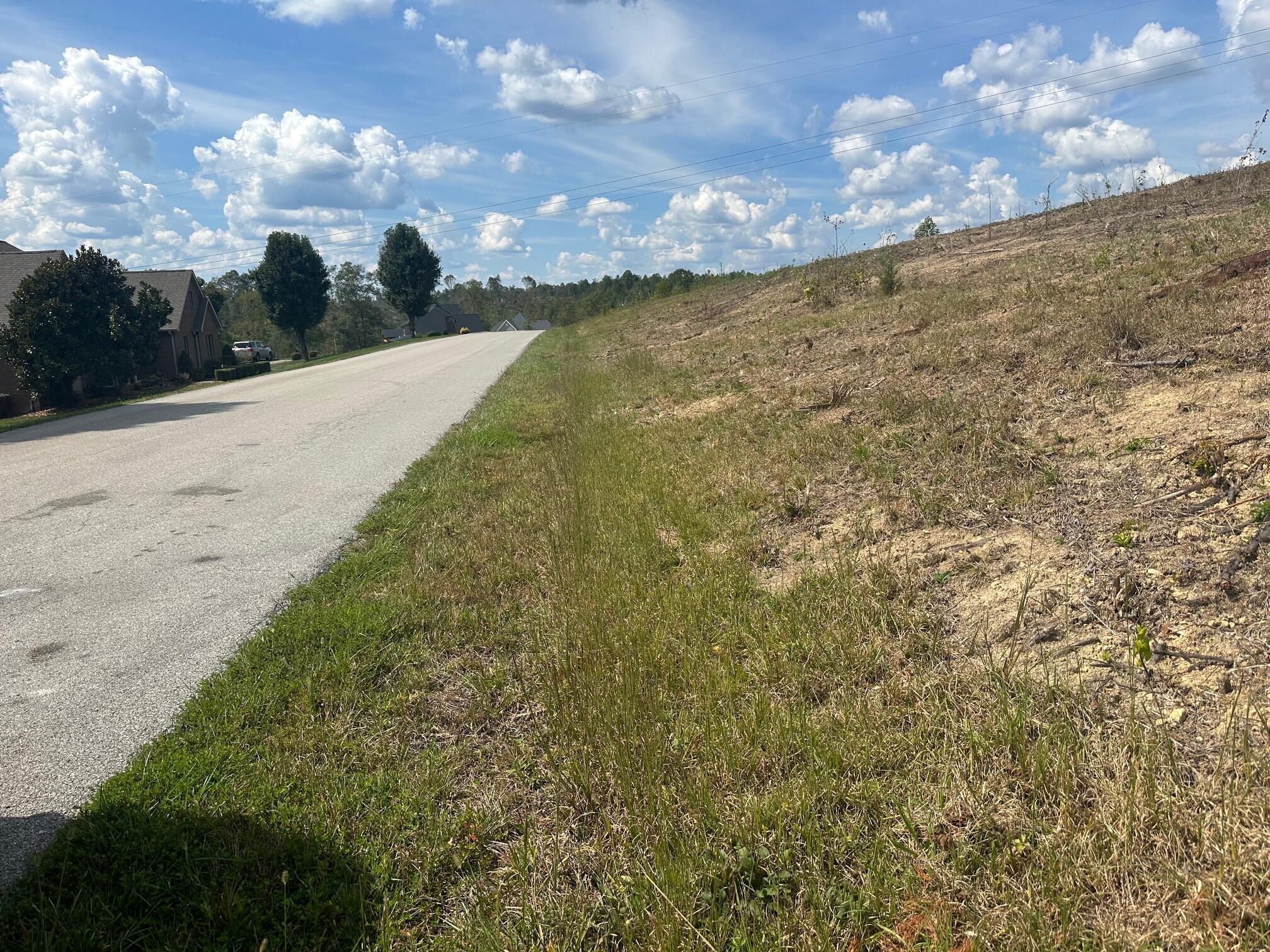 Lot 50 Sara Lane Property Photo 4
