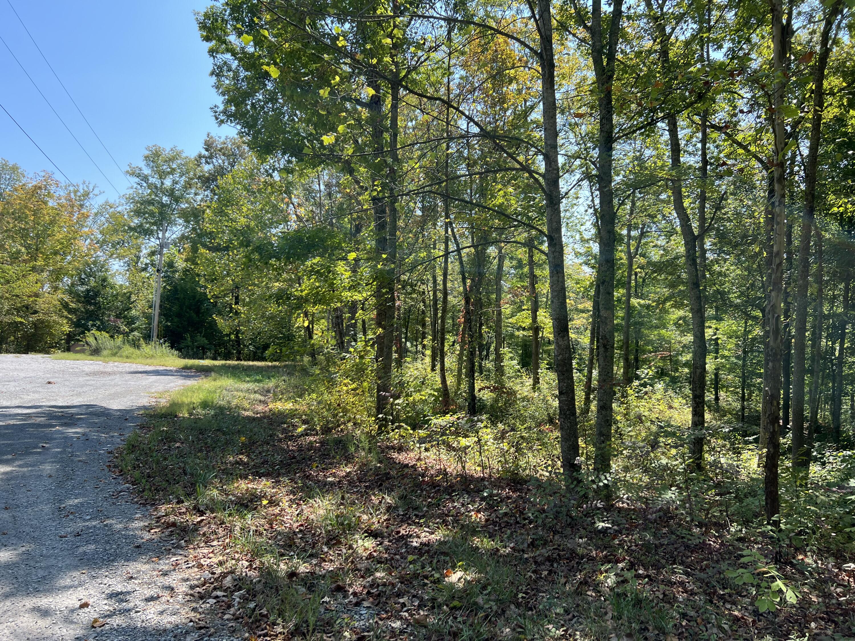 Lot 25 Restful Run Rd Property Photo 3