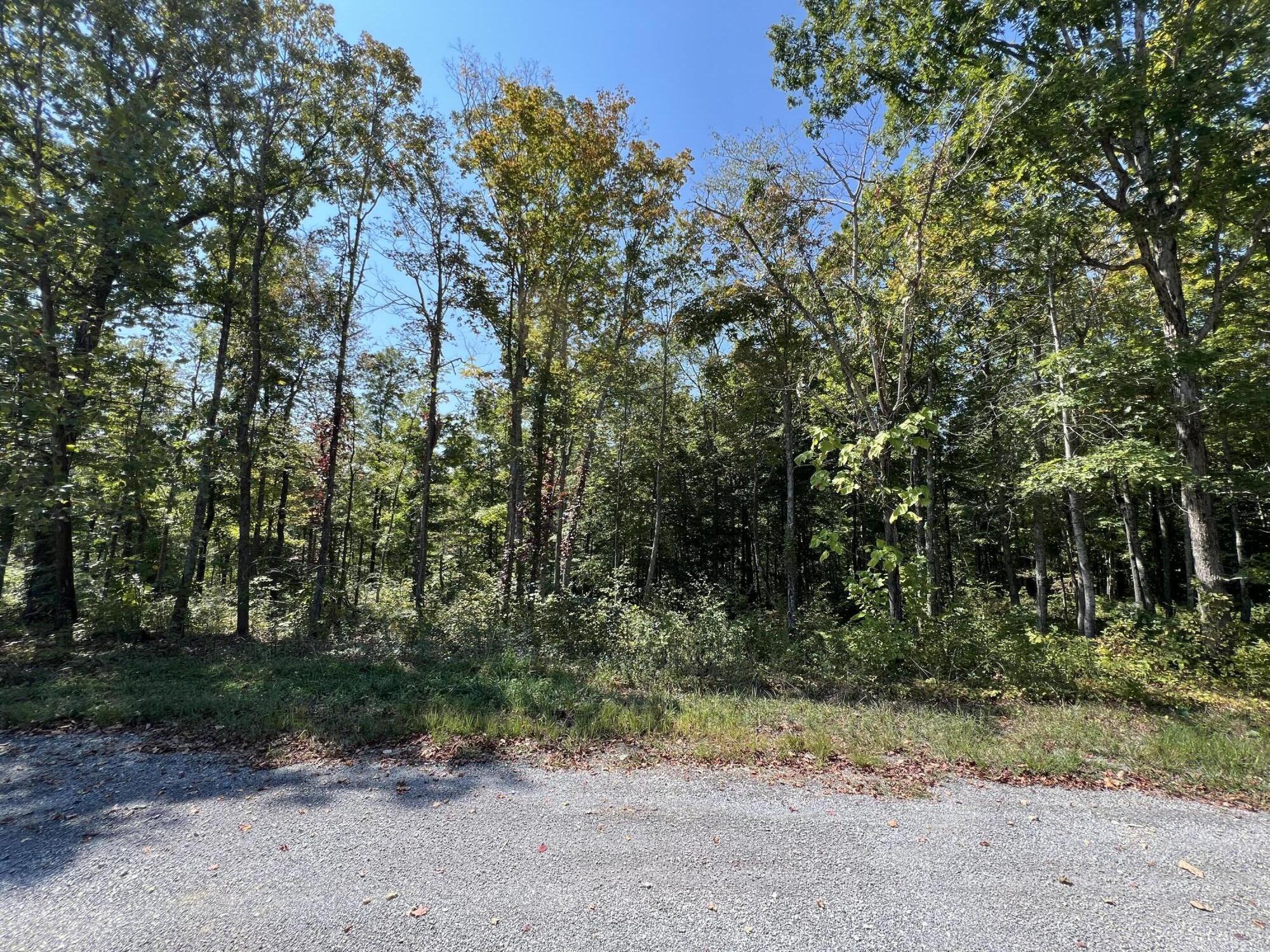 Lot 25 Restful Run Rd Property Photo 5