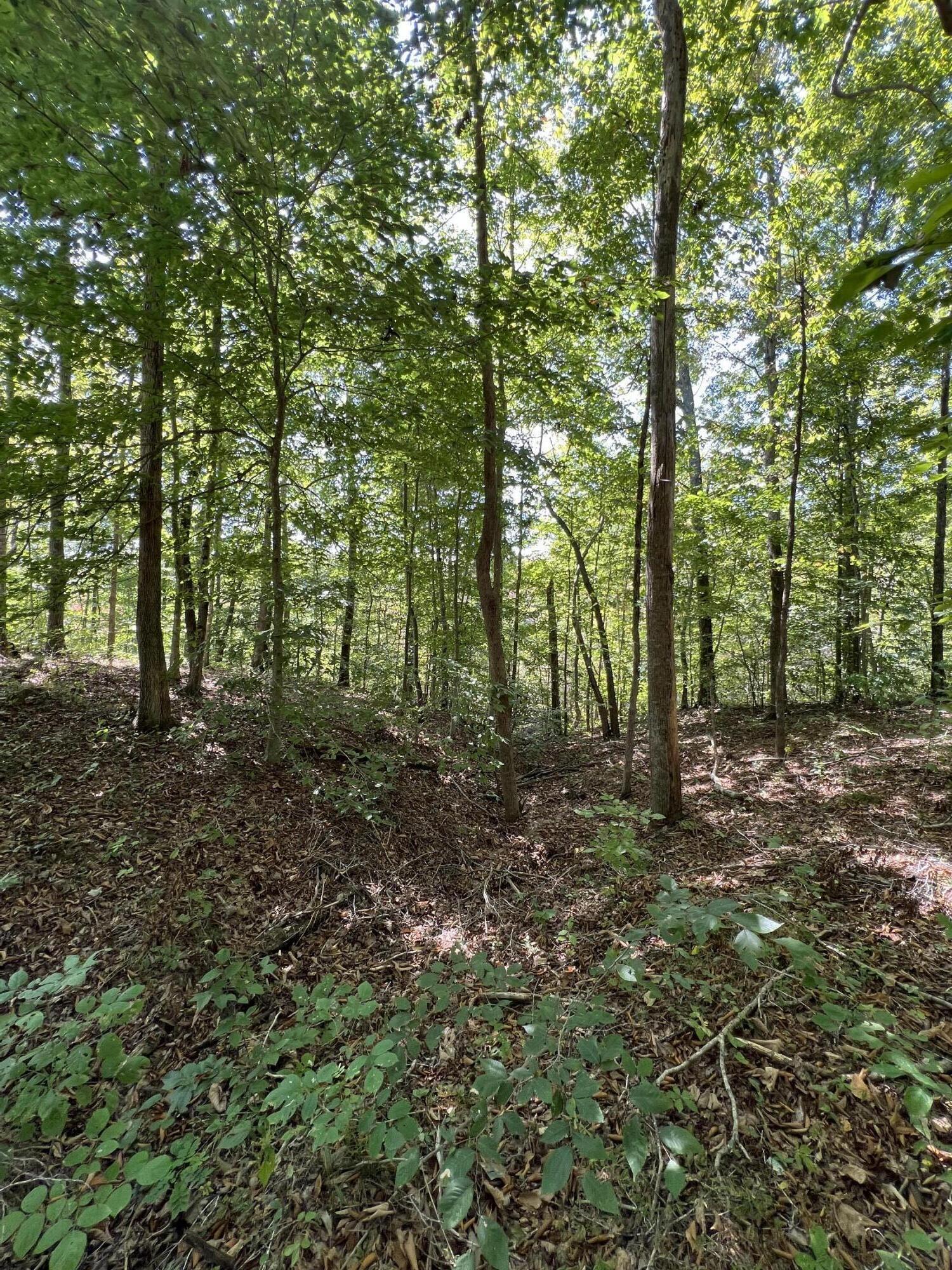 Lot 25 Restful Run Rd Property Photo 6