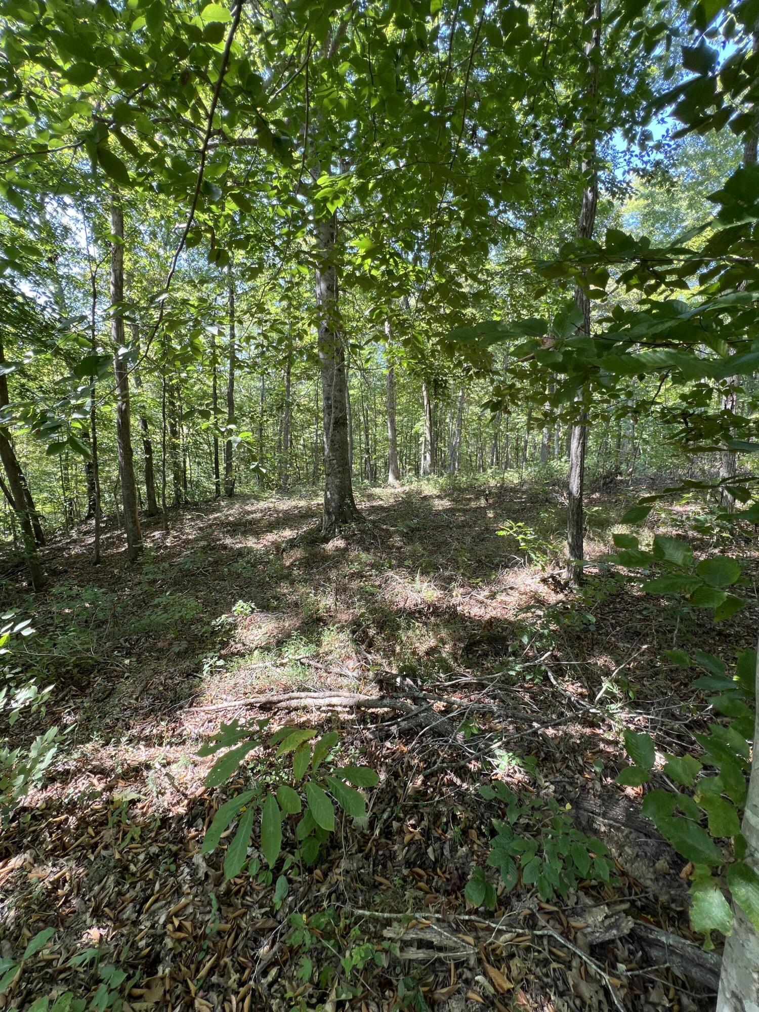 Lot 25 Restful Run Rd Property Photo 7