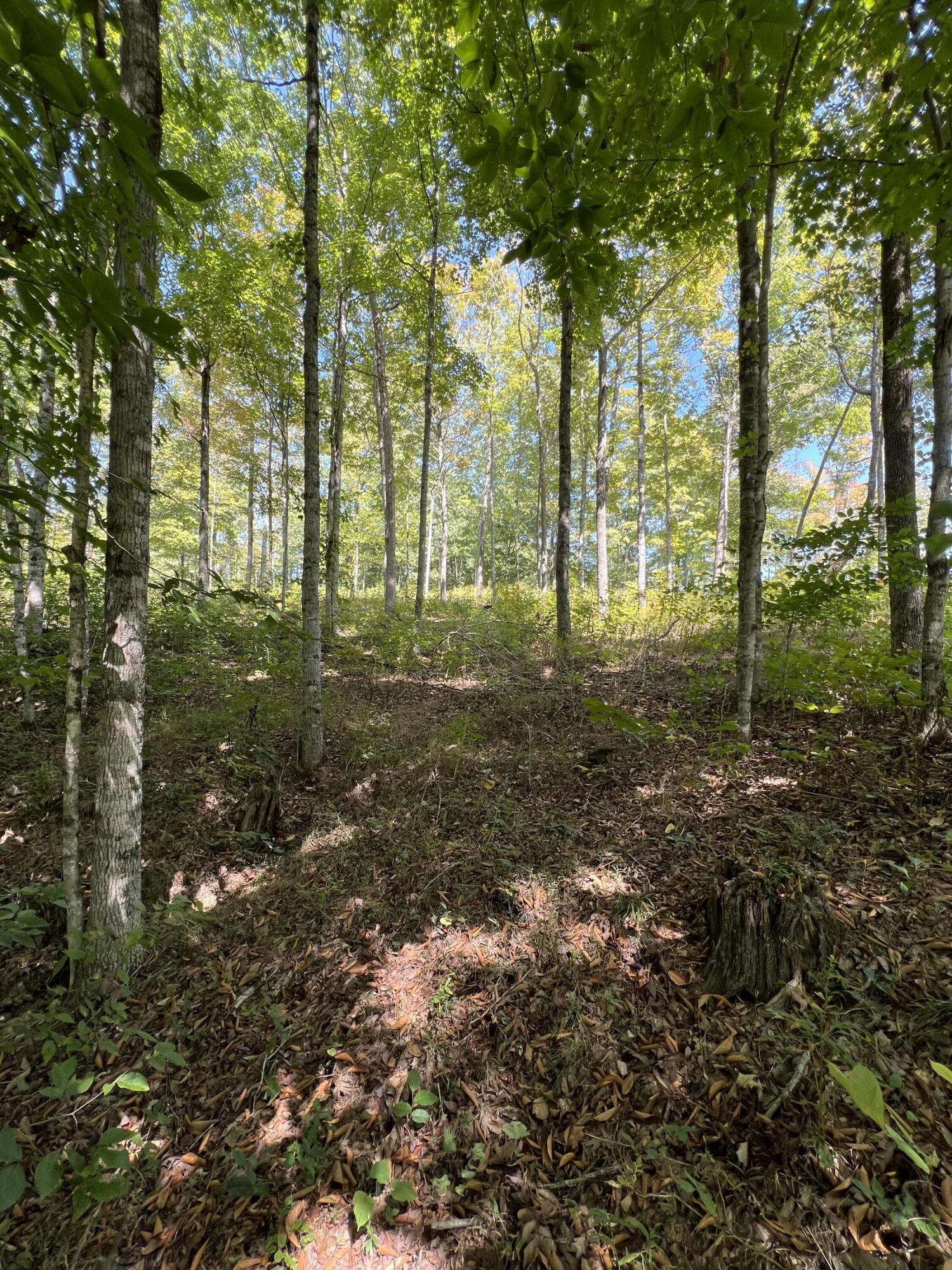 Lot 25 Restful Run Rd Property Photo 8