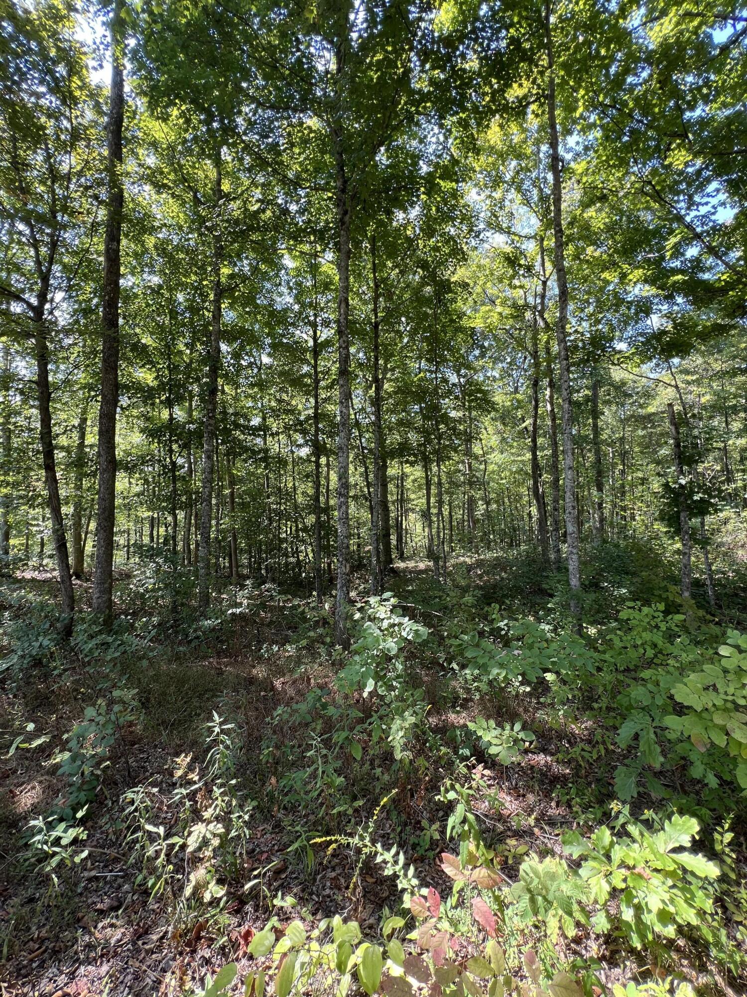 Lot 25 Restful Run Rd Property Photo 9
