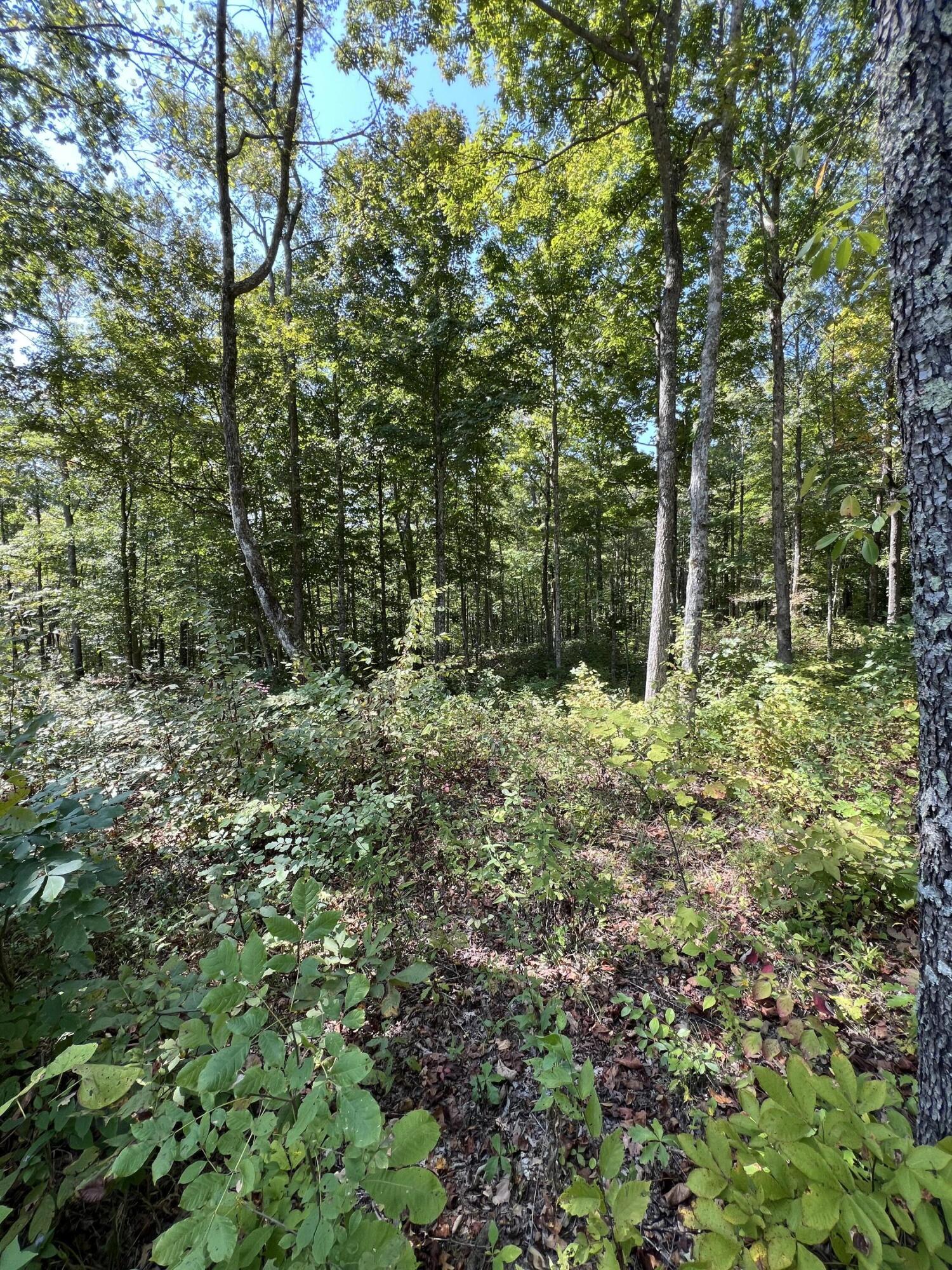 Lot 25 Restful Run Rd Property Photo 10