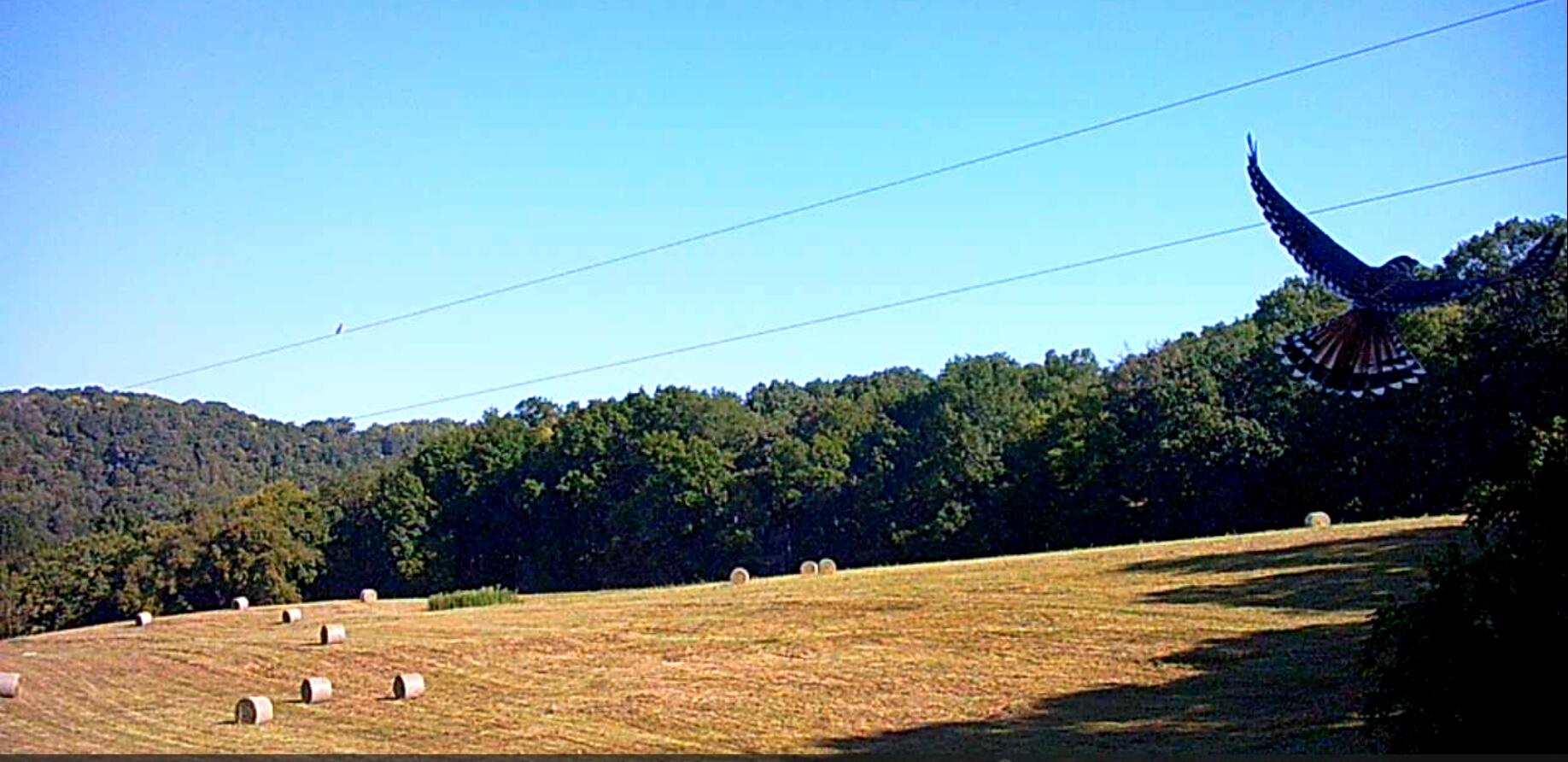 3890 Oregon Road Property Photo 26