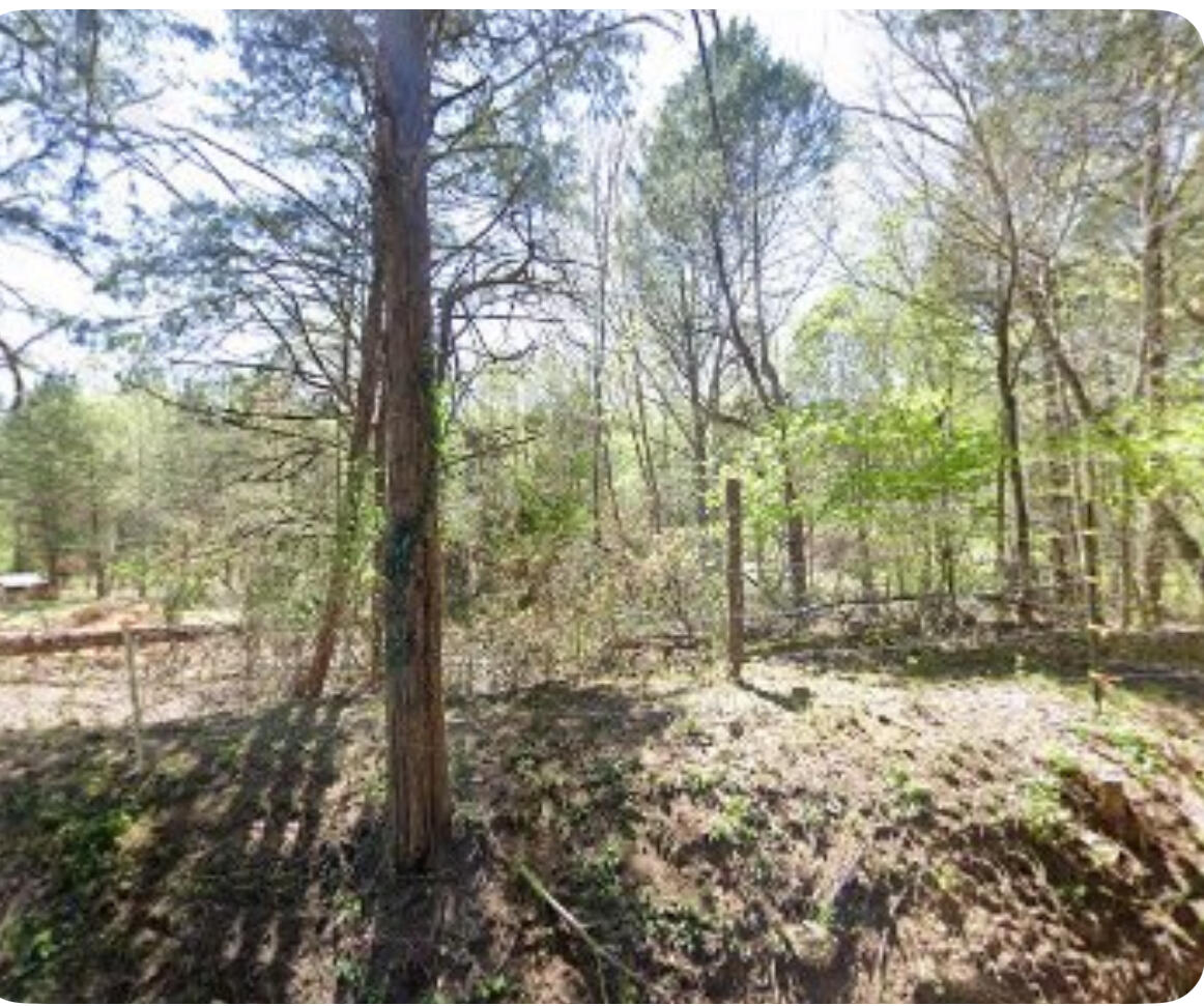 5050 Dry Branch Road Property Photo 4