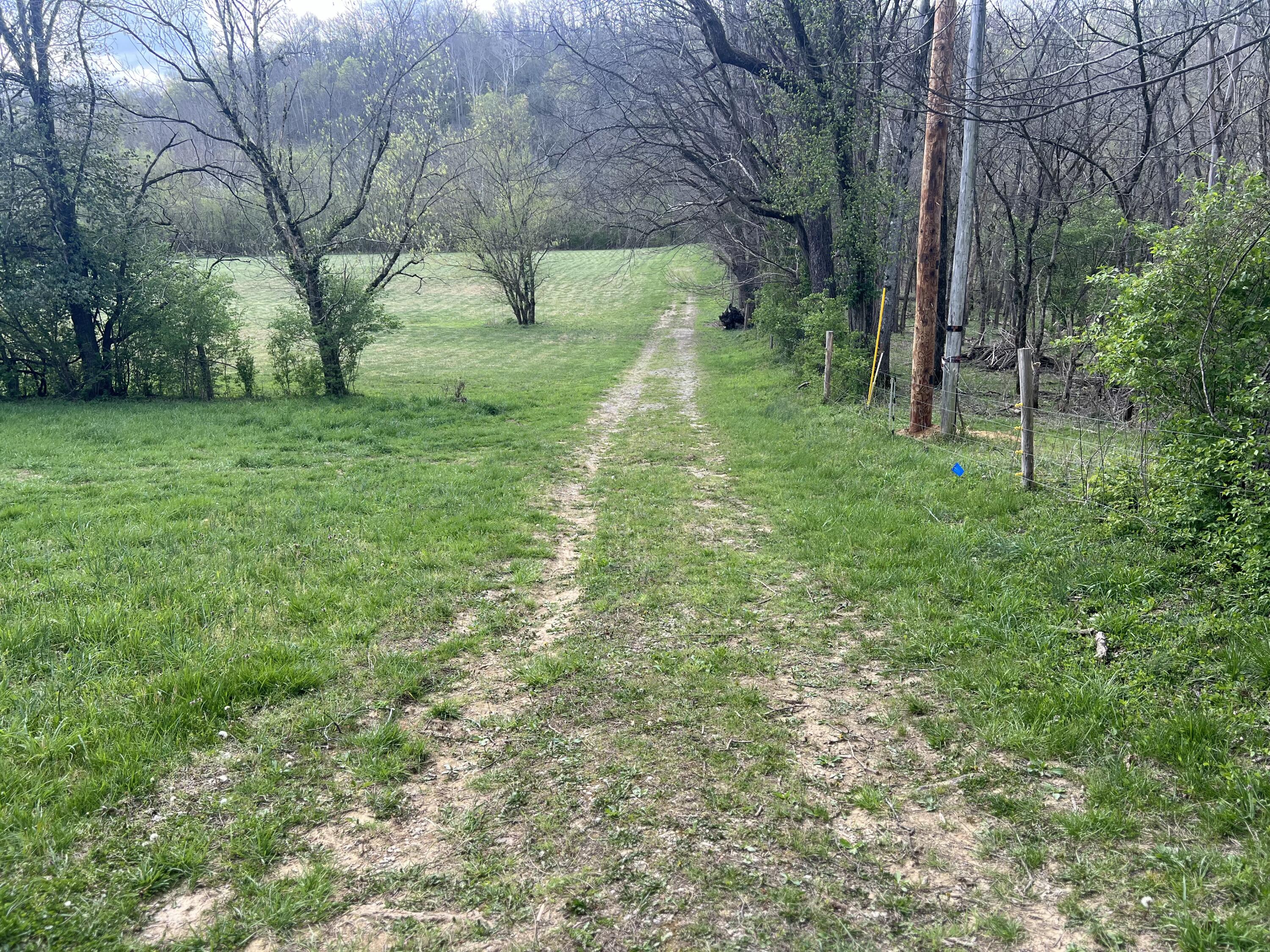 5050 Dry Branch Road Property Photo 13