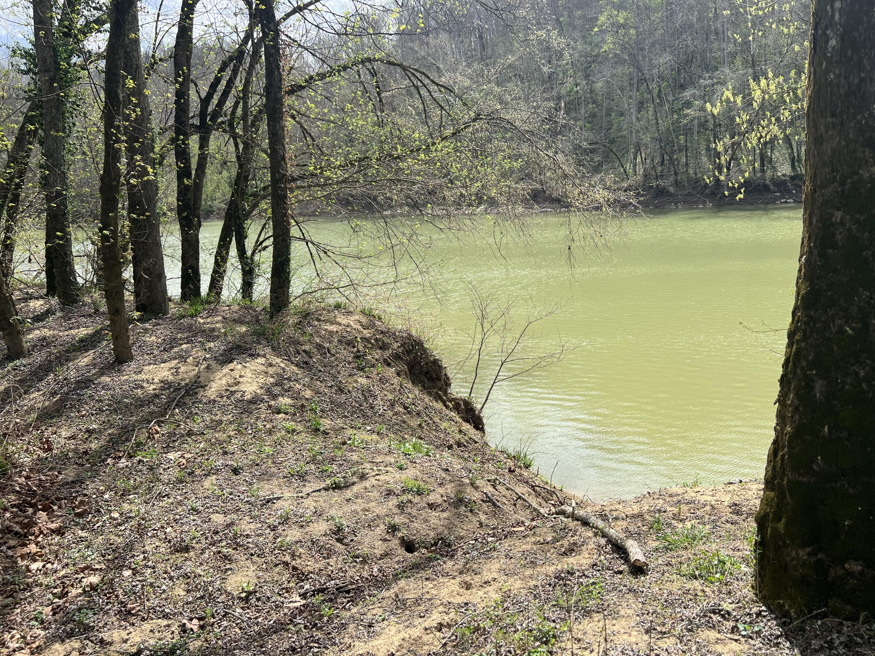 5050 Dry Branch Road Property Photo 20