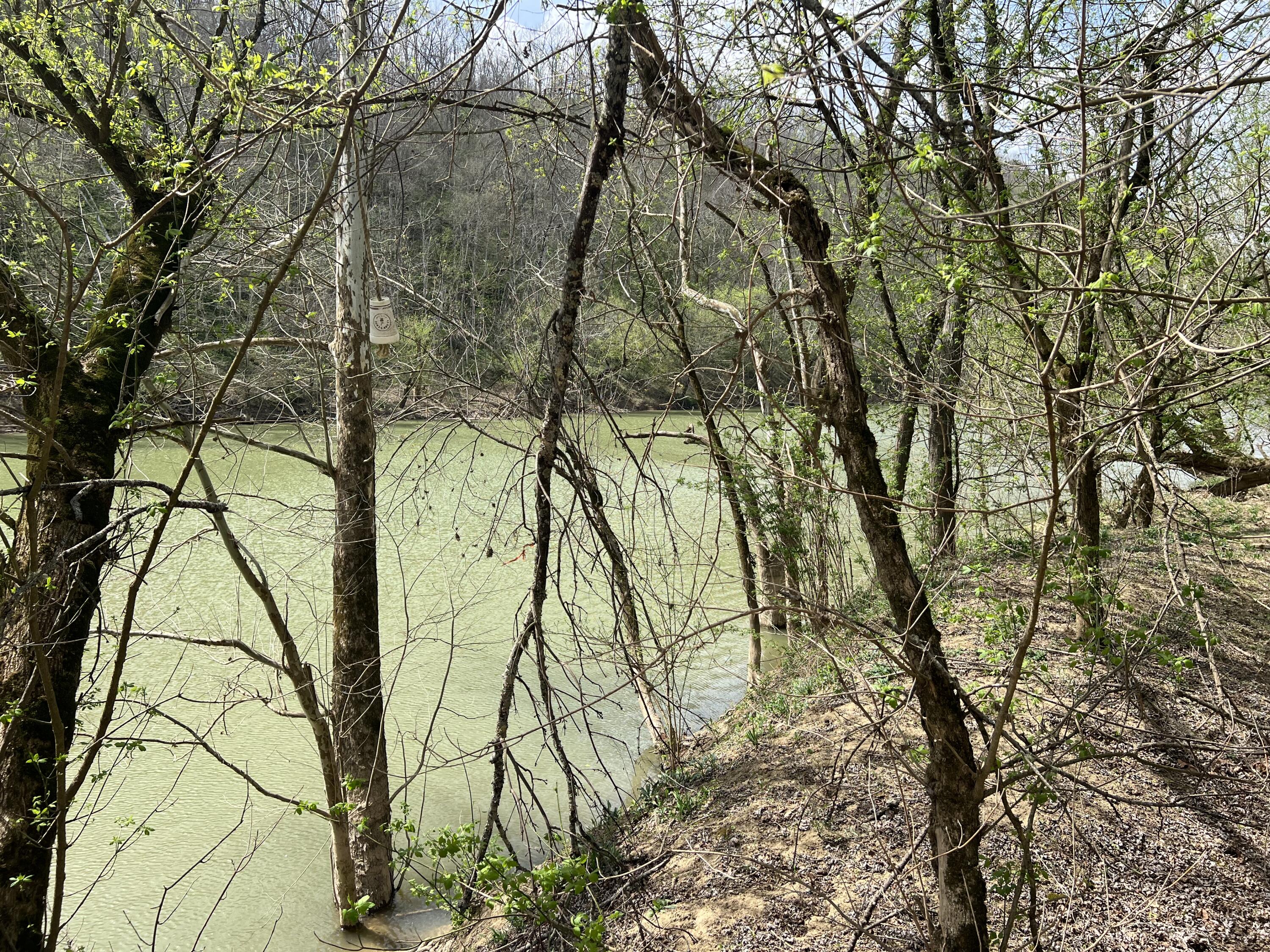 5050 Dry Branch Road Property Photo 23