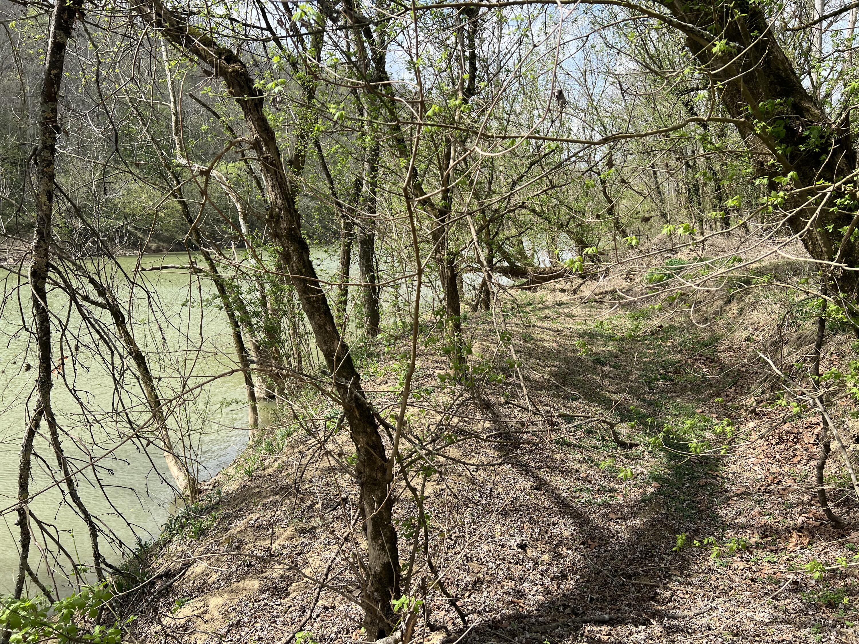 5050 Dry Branch Road Property Photo 24